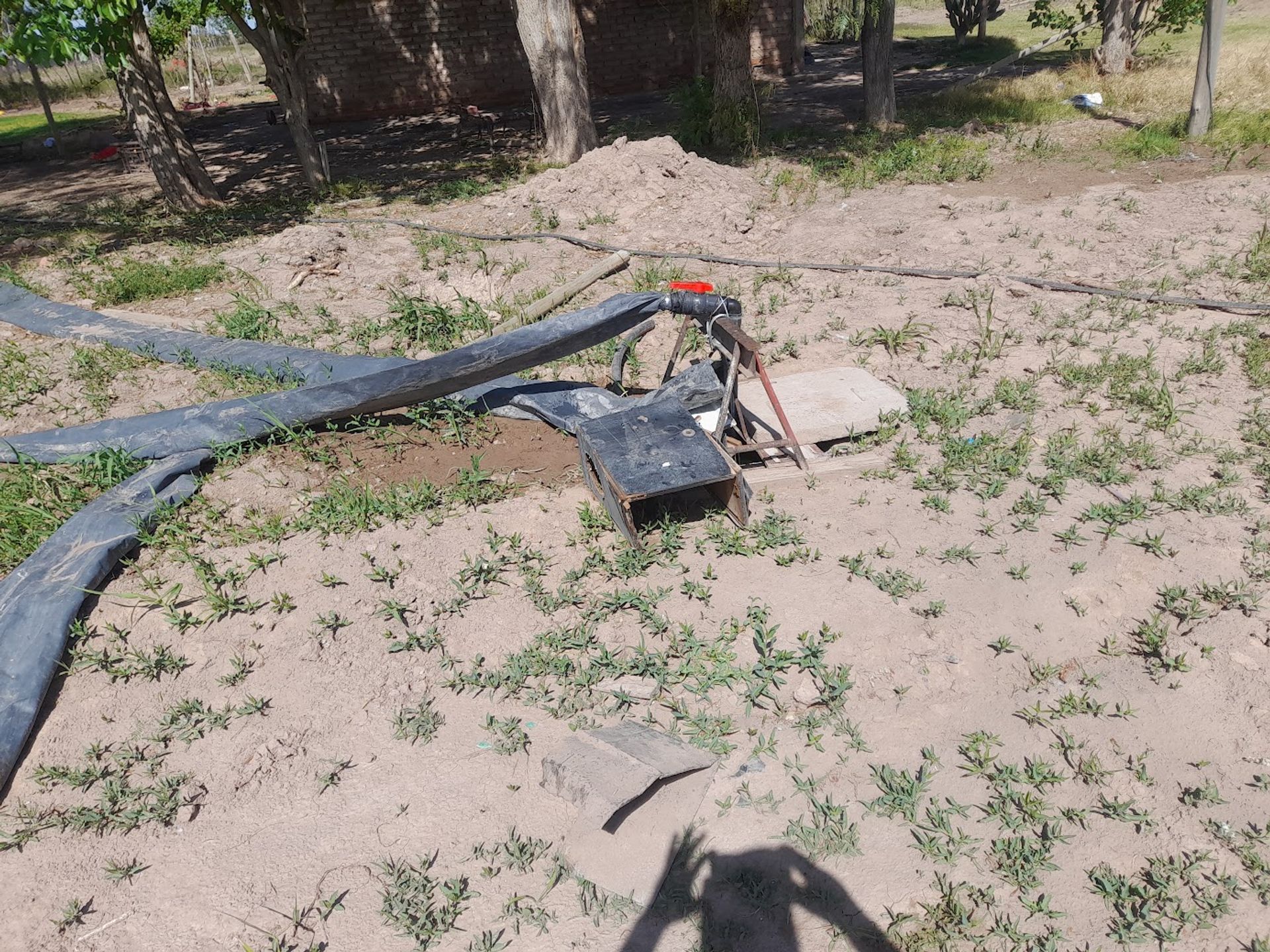 Campo en Venta en Lavalle, Mendoza