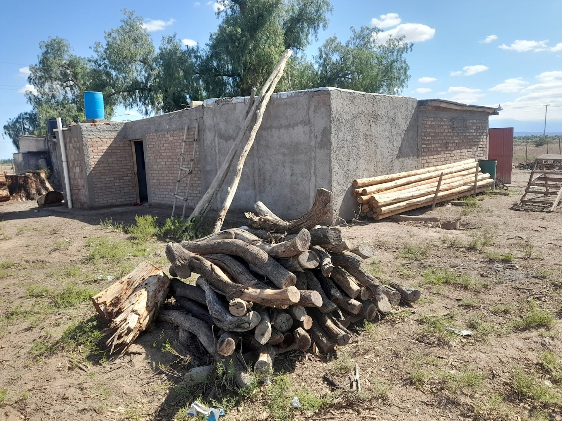 Campo en Venta en Lavalle, Mendoza