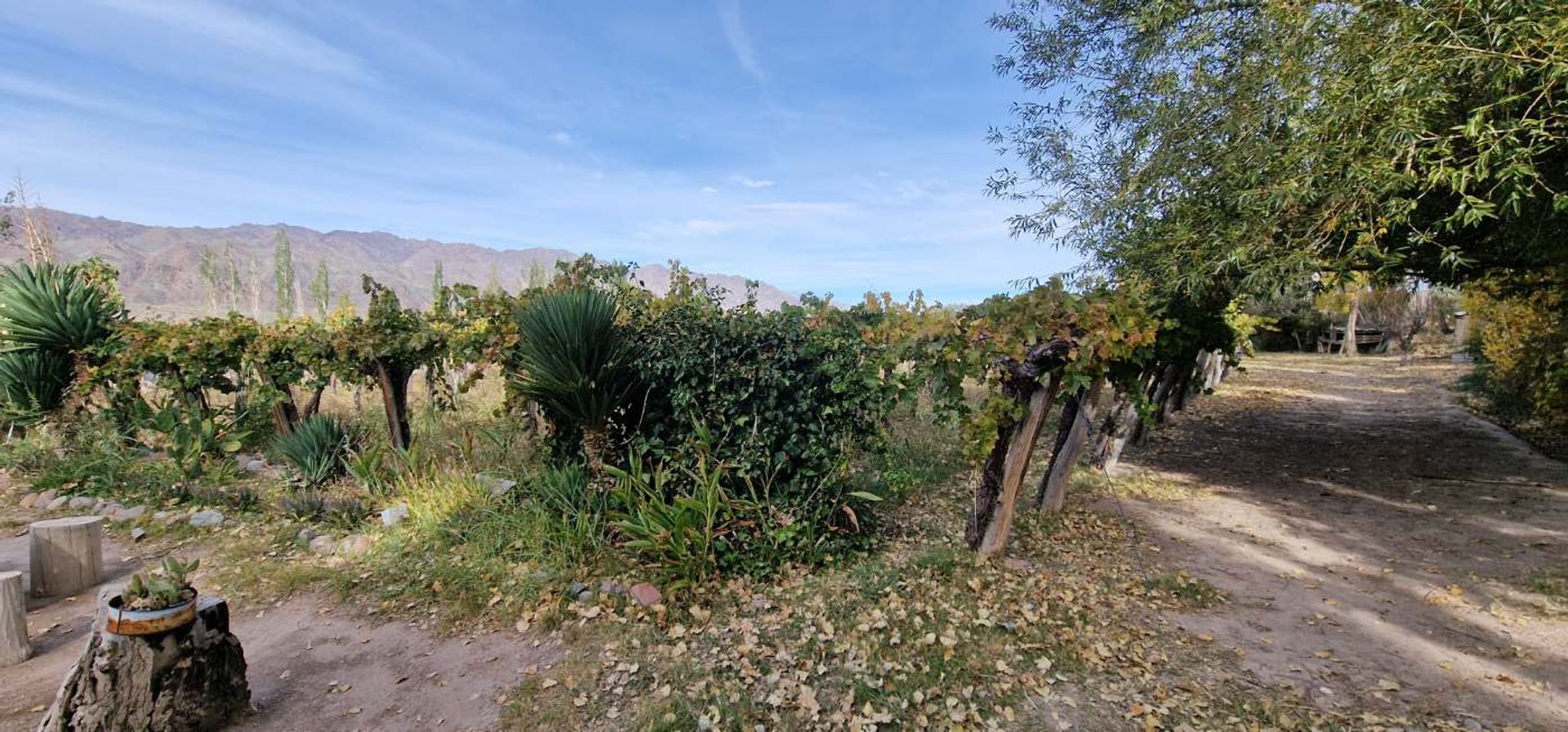 Casa Quinta en Venta en Calingasta, San Juan
