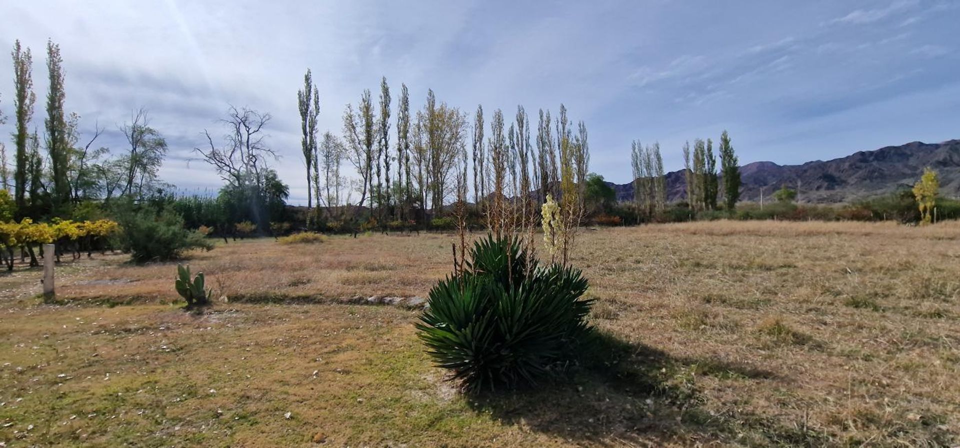 Casa Quinta en Venta en Calingasta, San Juan