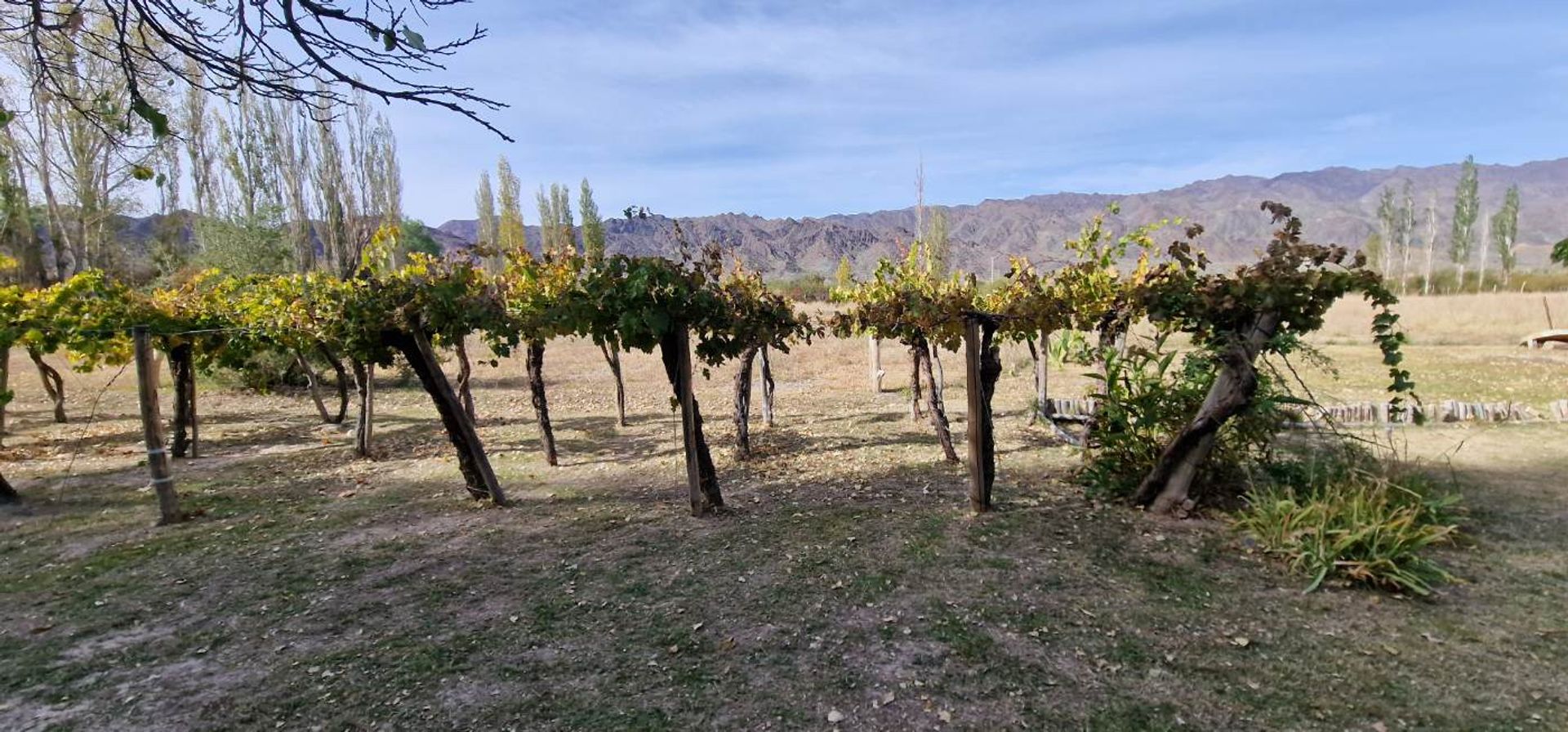 Casa Quinta en Venta en Calingasta, San Juan
