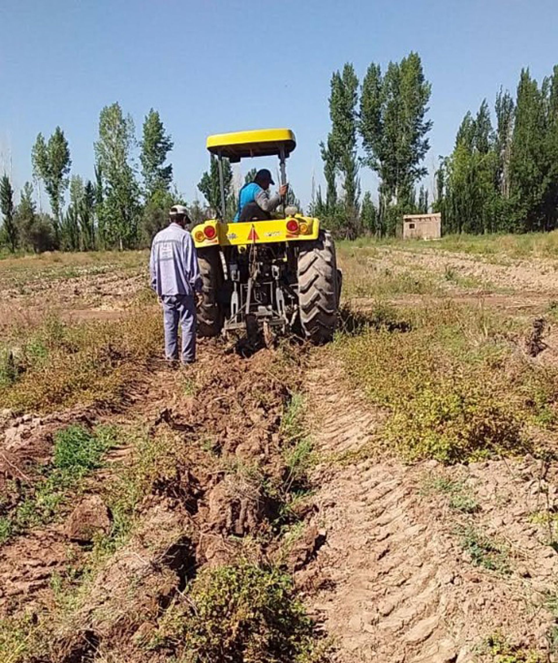 Campo en Venta en Guaymallen, Mendoza