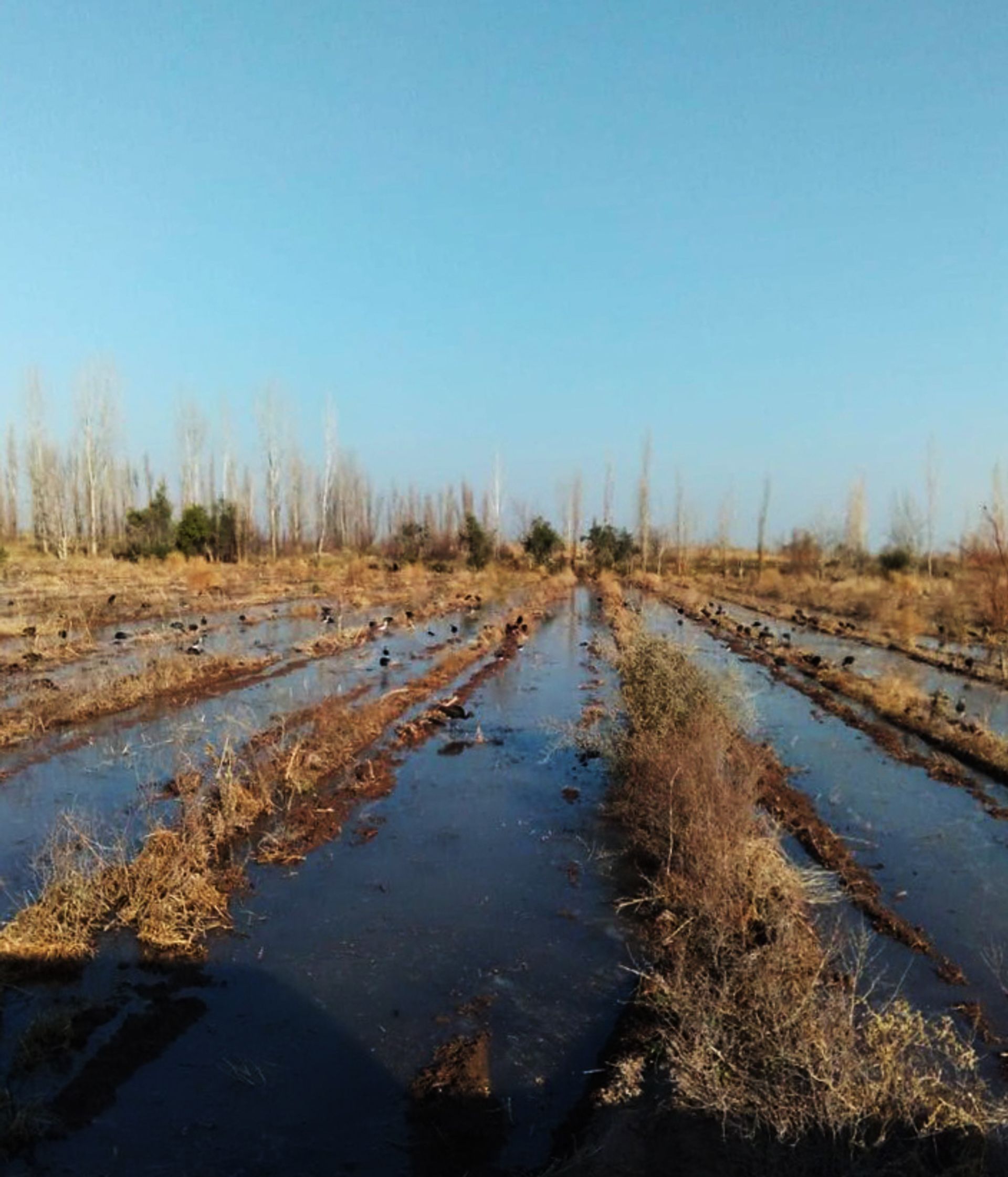 Campo en Venta en Guaymallen, Mendoza