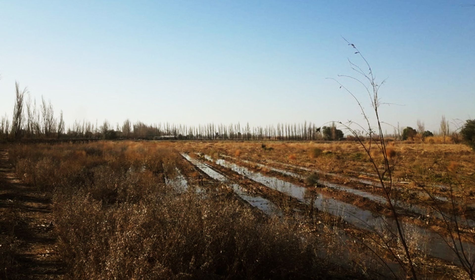 Campo en Venta en Guaymallen, Mendoza