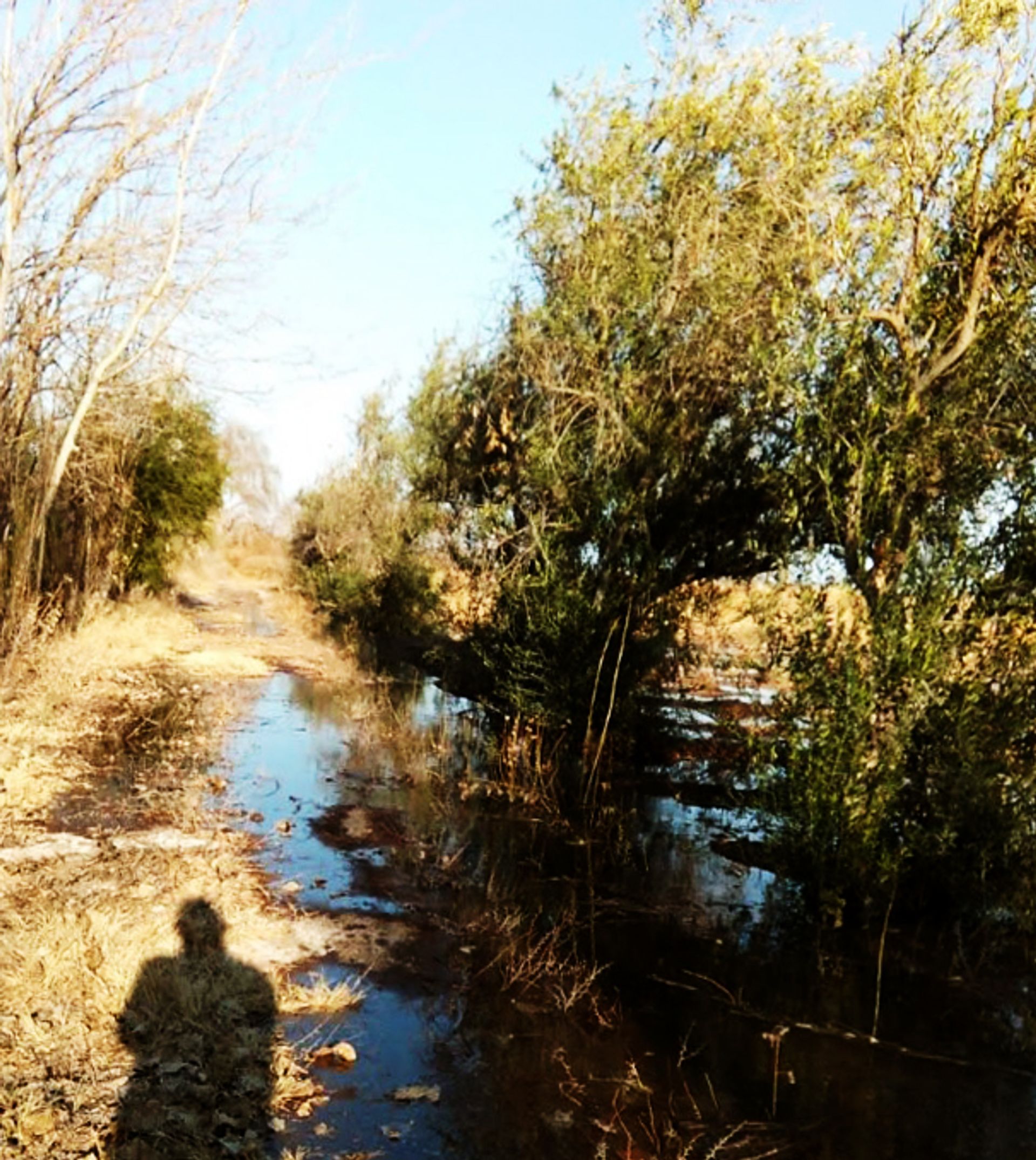 Campo en Venta en Guaymallen, Mendoza