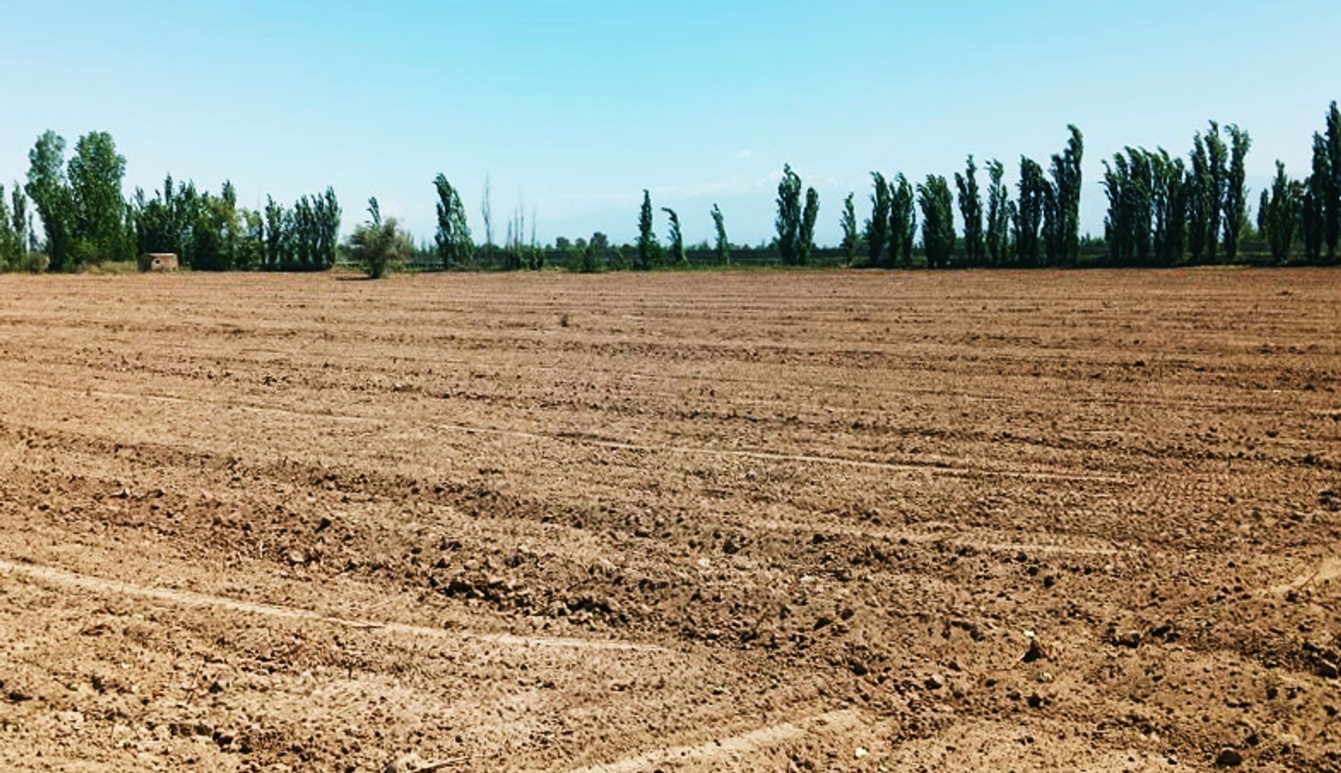 Campo en Venta en Guaymallen, Mendoza