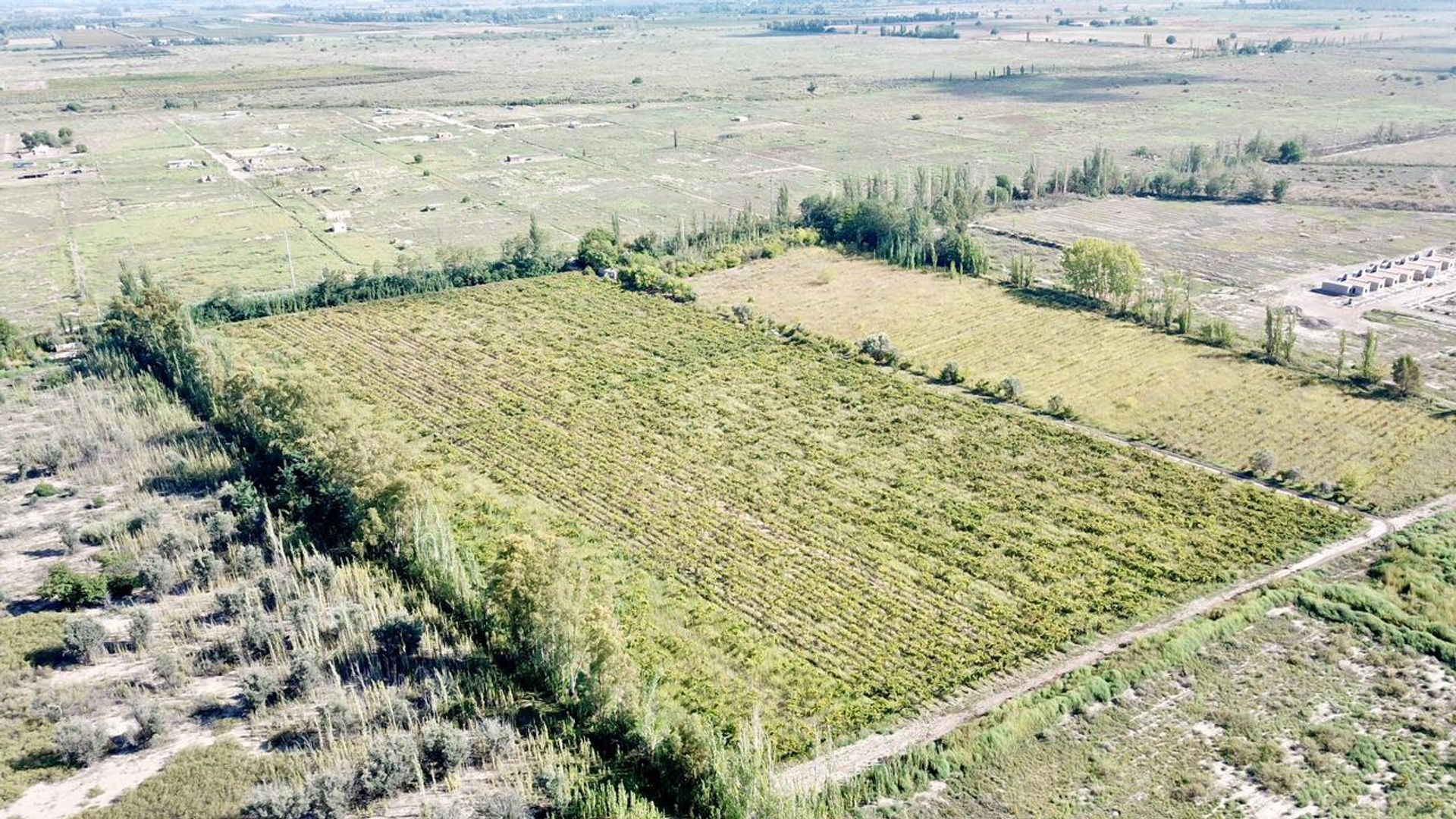 Lote en Venta en San Martin, Mendoza