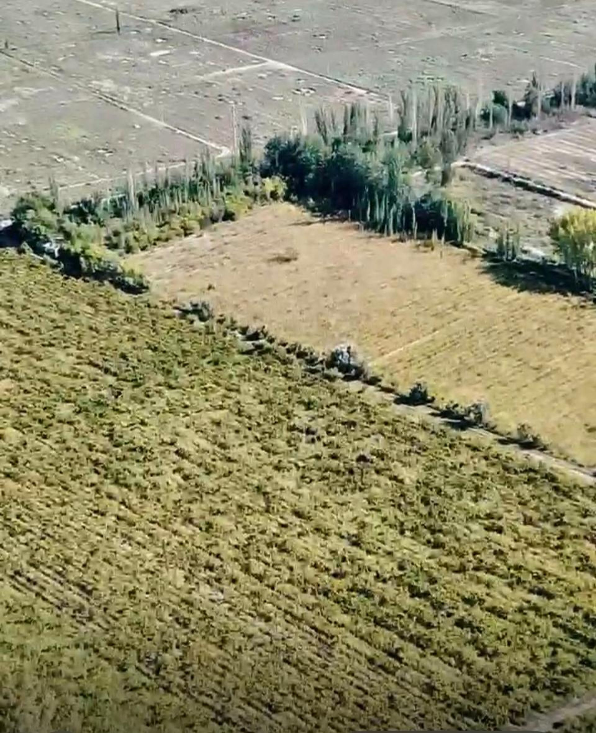Lote en Venta en San Martin, Mendoza