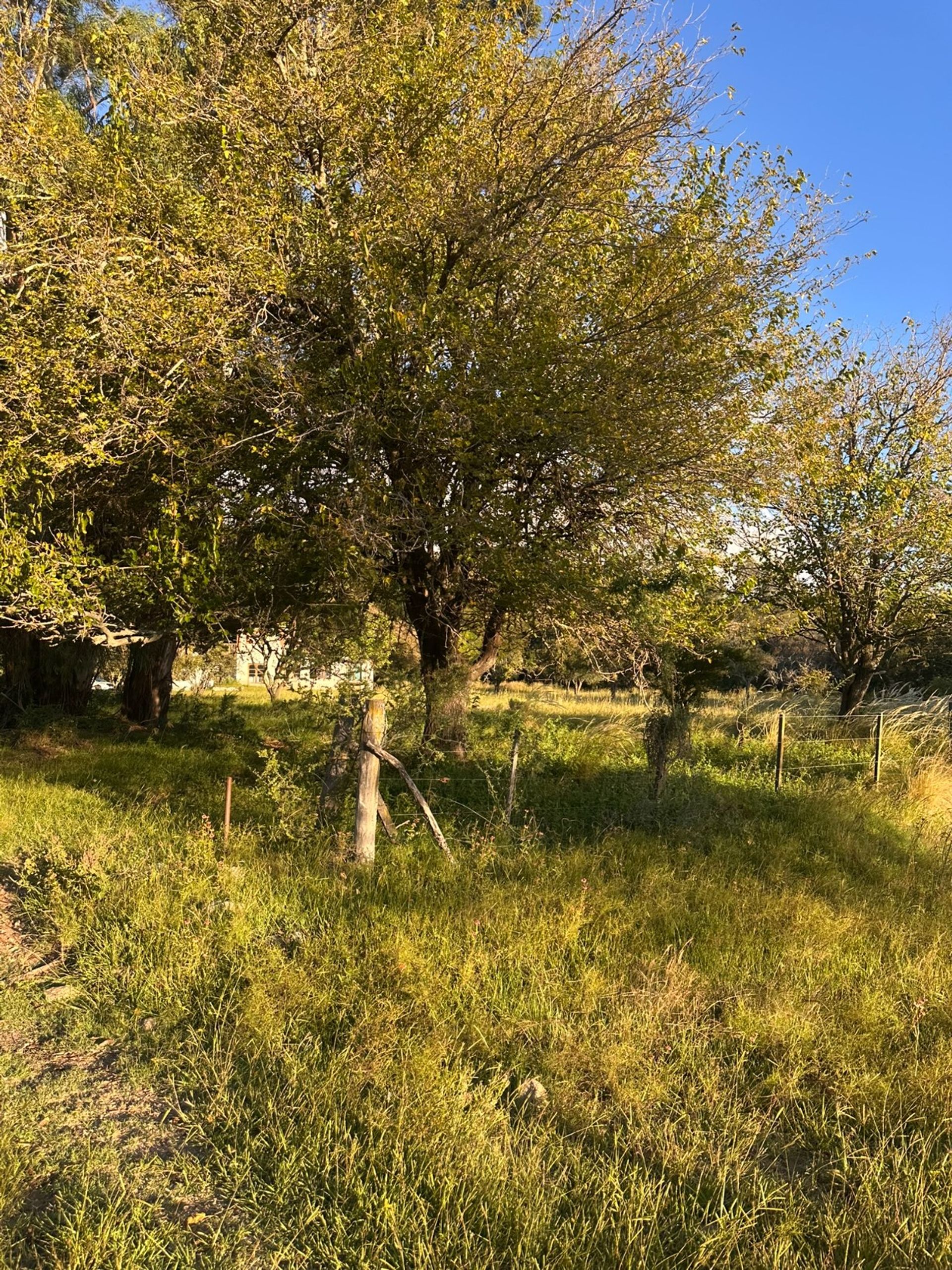 Campo en Venta en Santa Maria, Cordoba