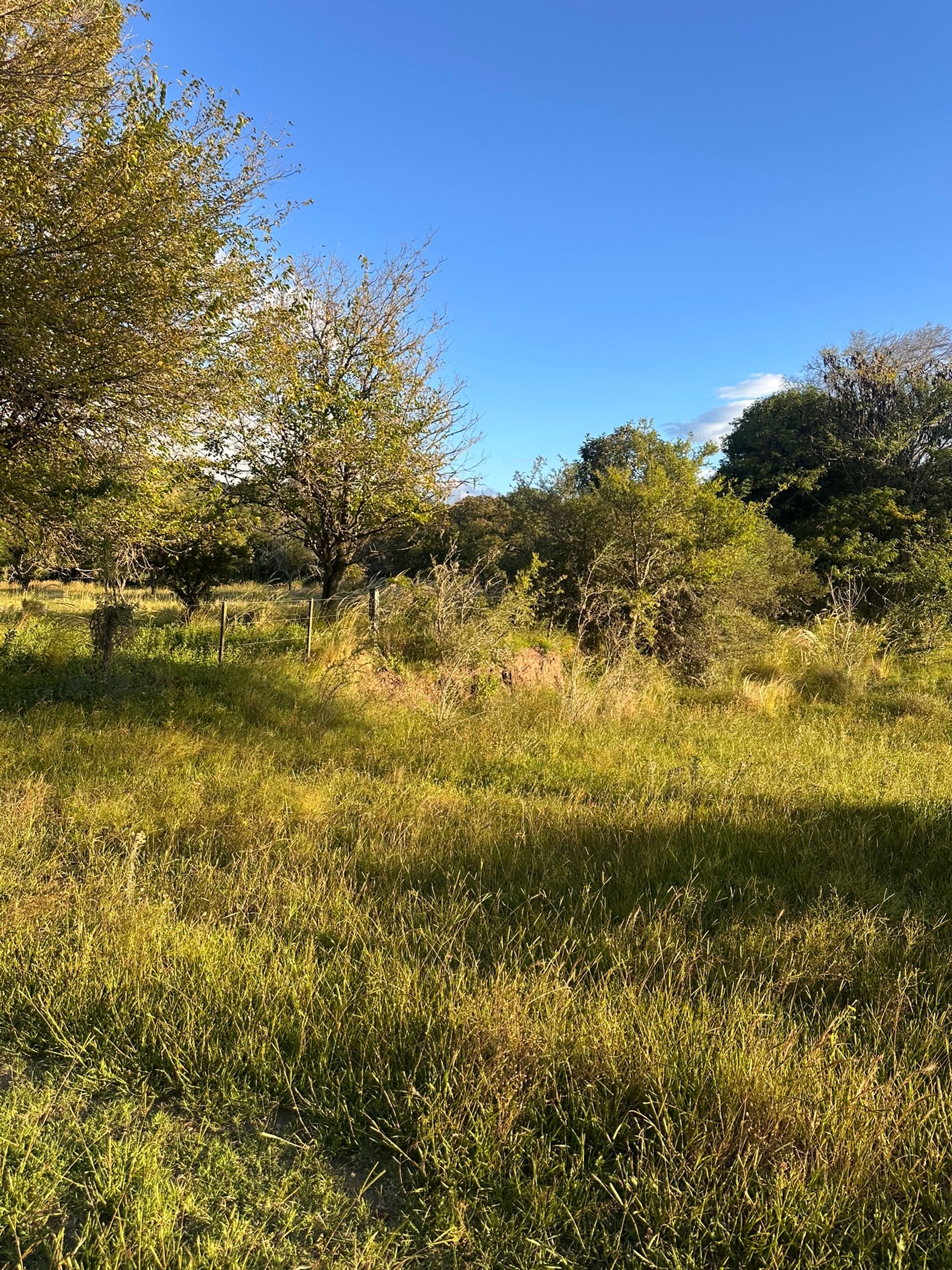 Campo en Venta en Santa Maria, Cordoba