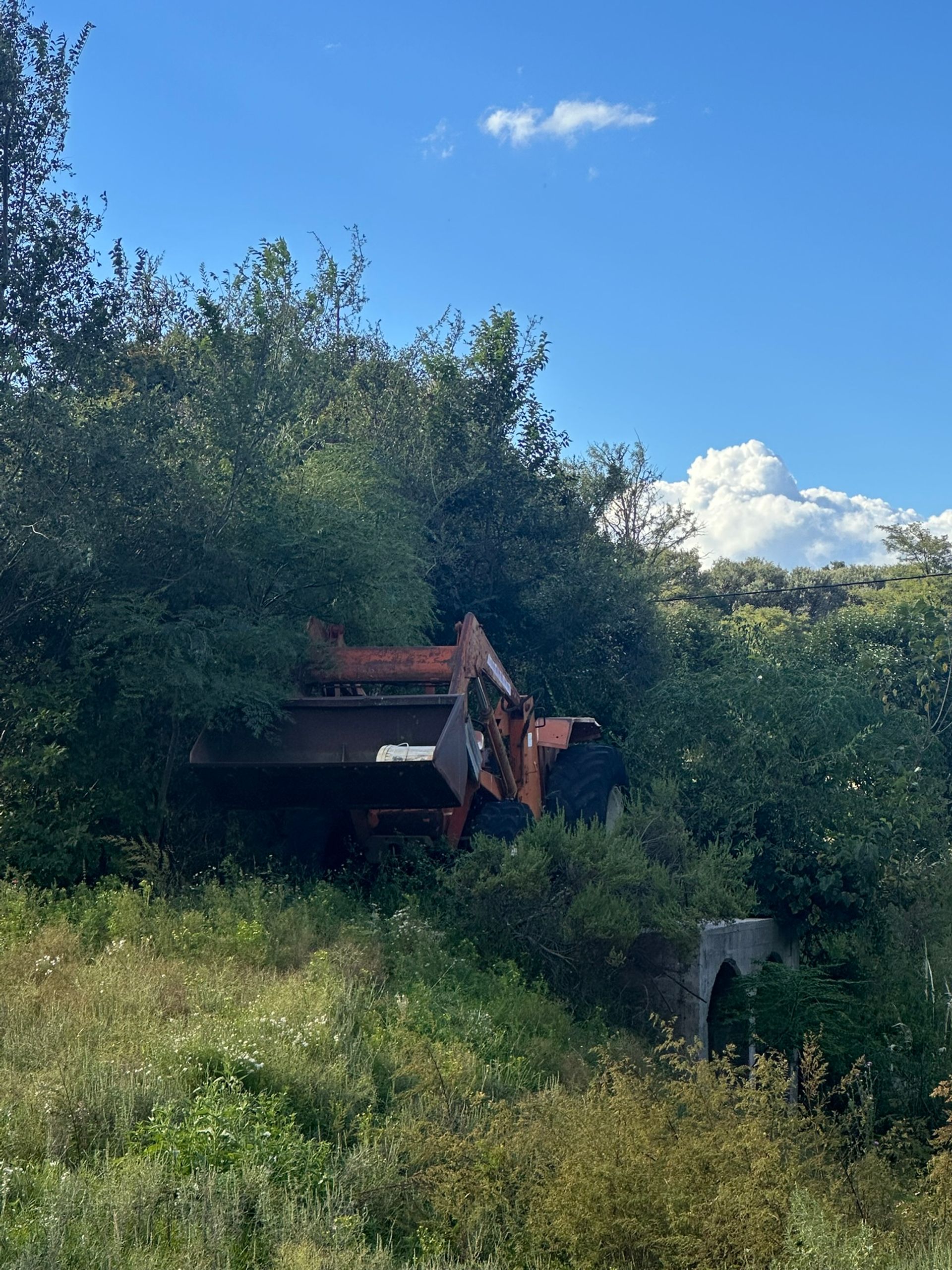 Campo en Venta en Santa Maria, Cordoba