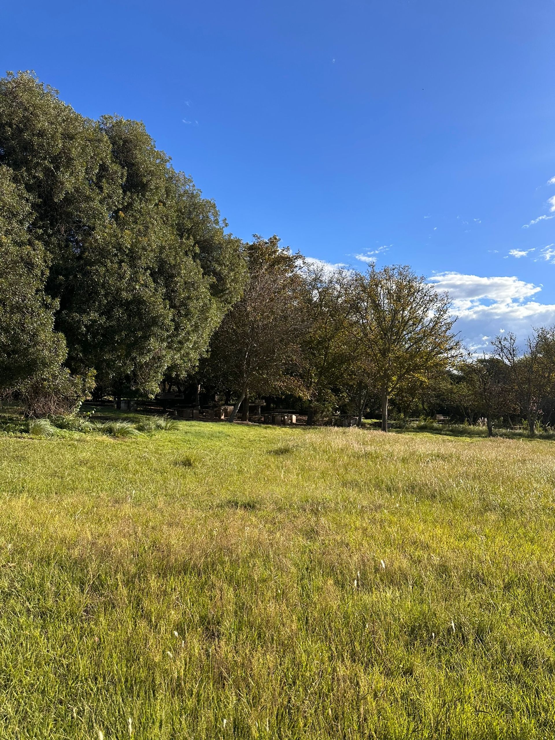 Campo en Venta en Santa Maria, Cordoba