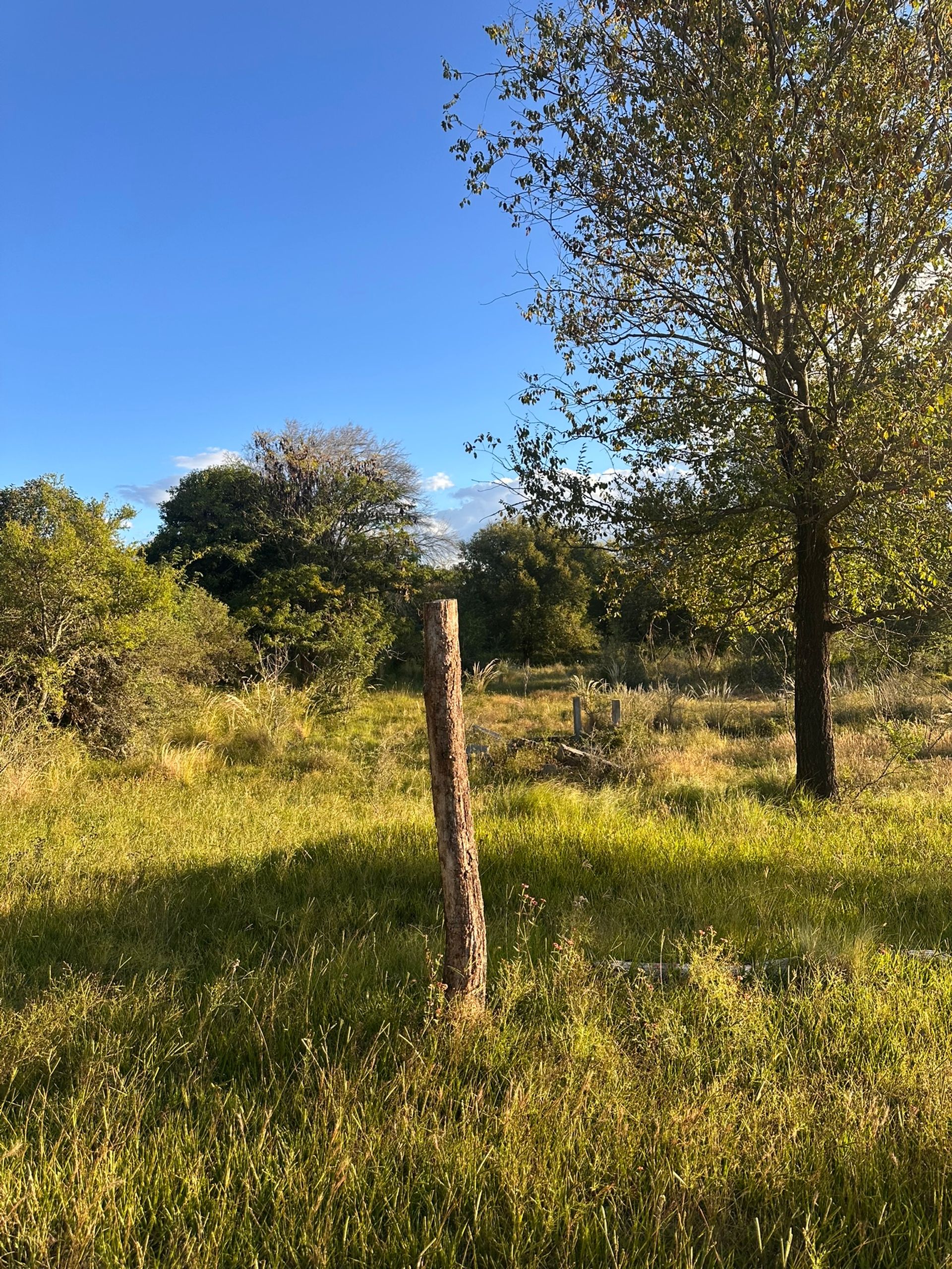 Campo en Venta en Santa Maria, Cordoba