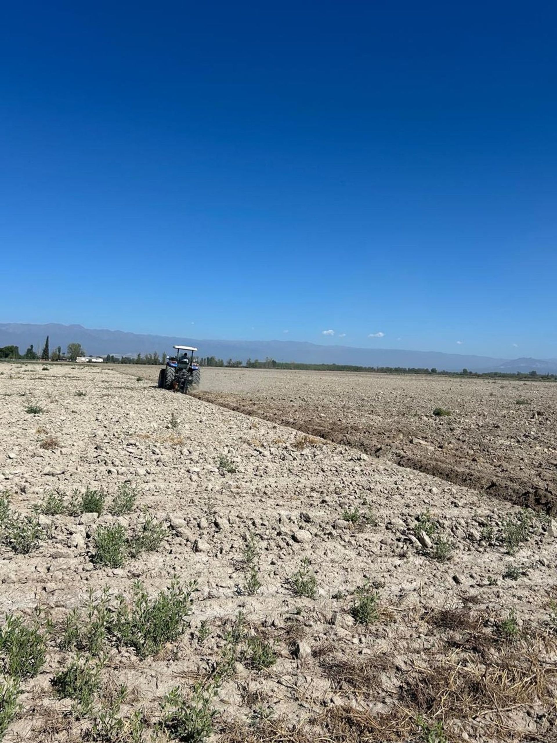 Campo en Venta en Lavalle, Mendoza
