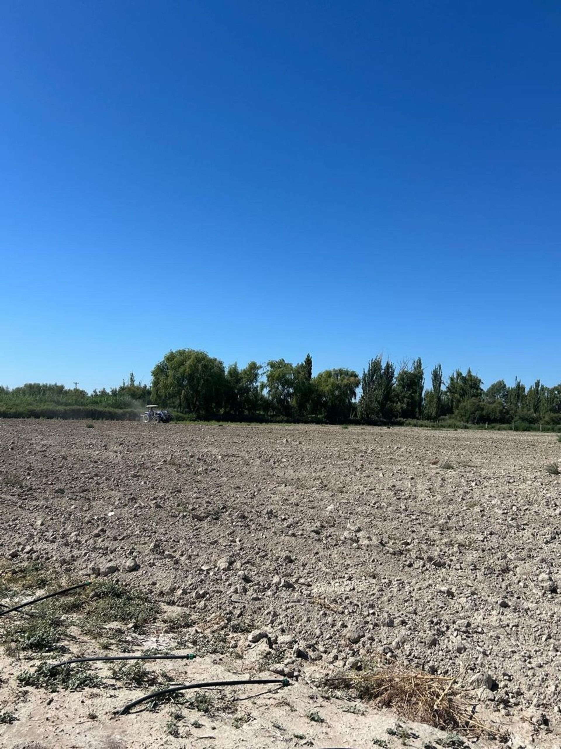 Campo en Venta en Lavalle, Mendoza