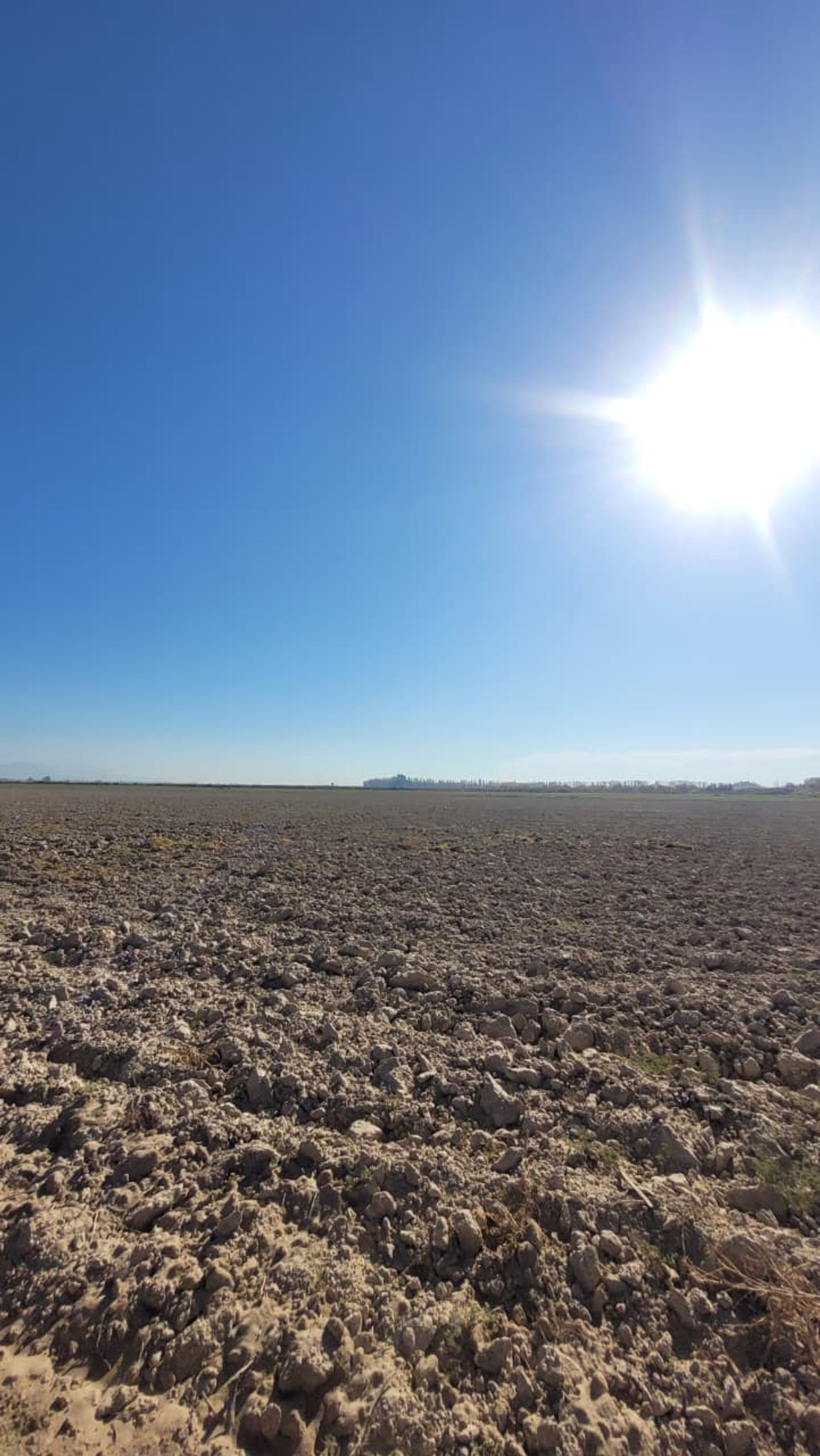 Campo en Venta en Lavalle, Mendoza