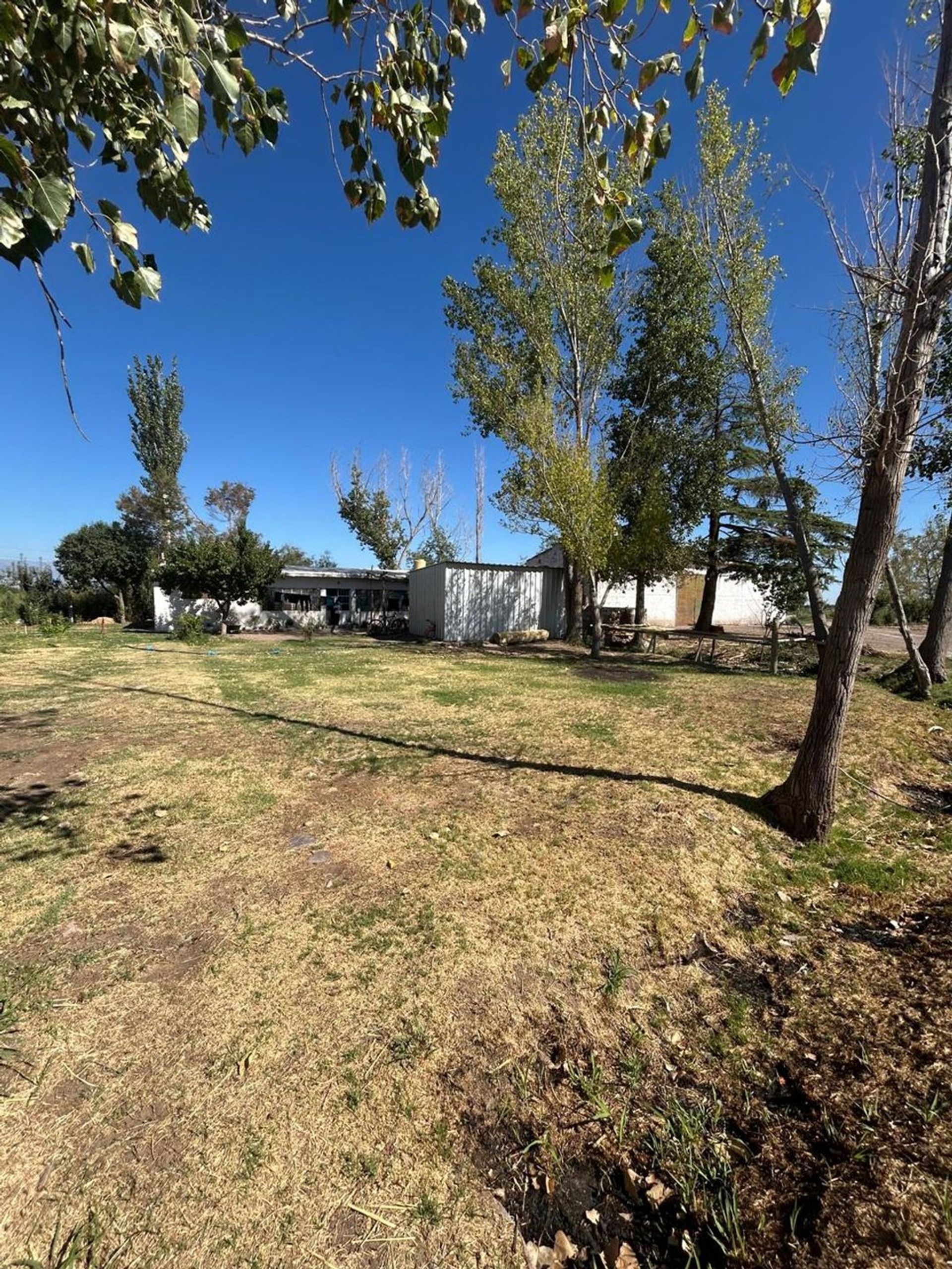 Campo en Venta en Lavalle, Mendoza