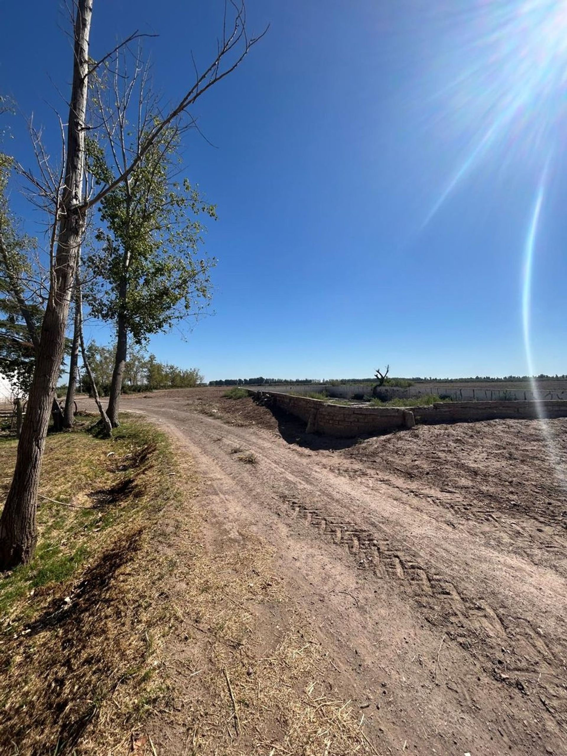 Campo en Venta en Lavalle, Mendoza