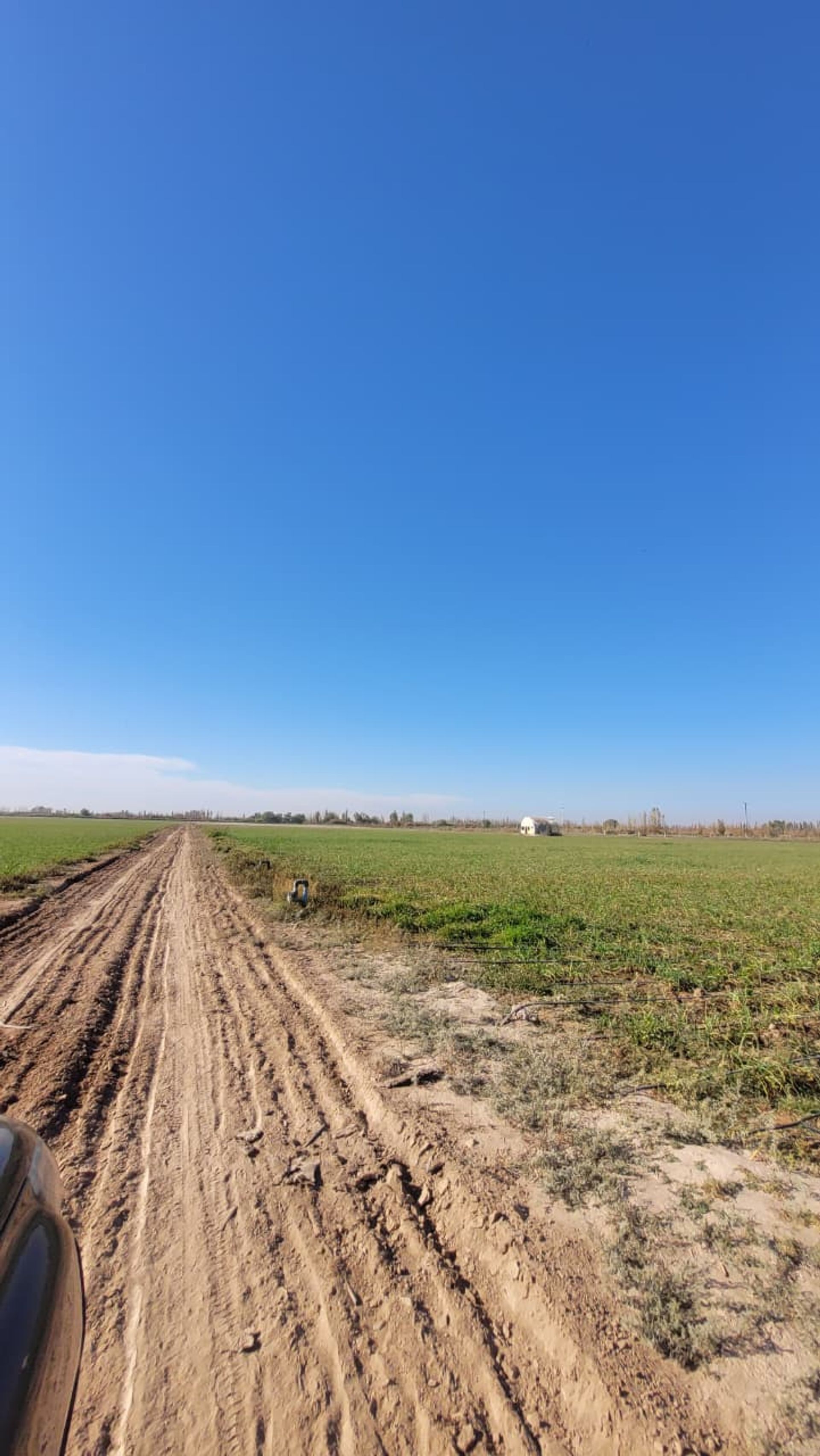 Campo en Venta en Lavalle, Mendoza