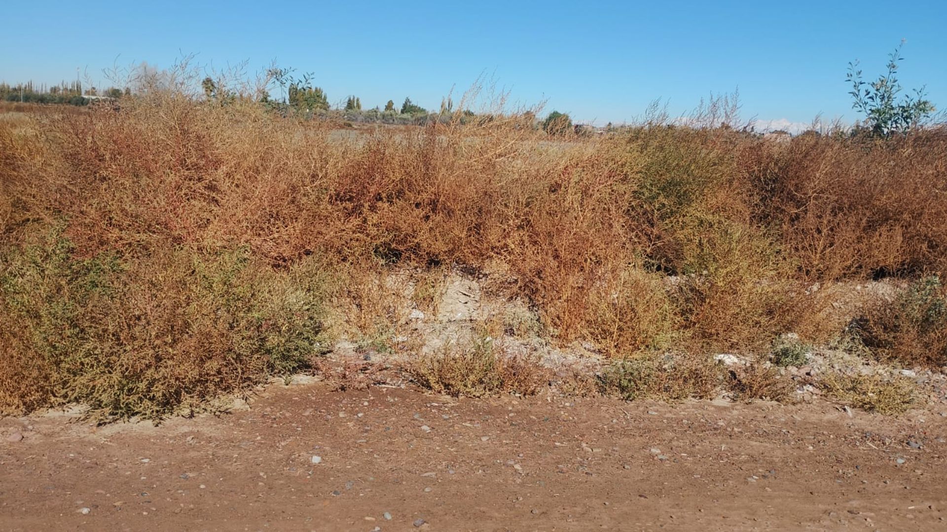 Lote en Venta en Maipu, Mendoza