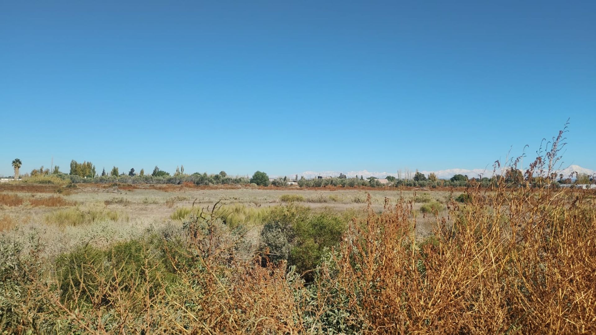 Lote en Venta en Maipu, Mendoza