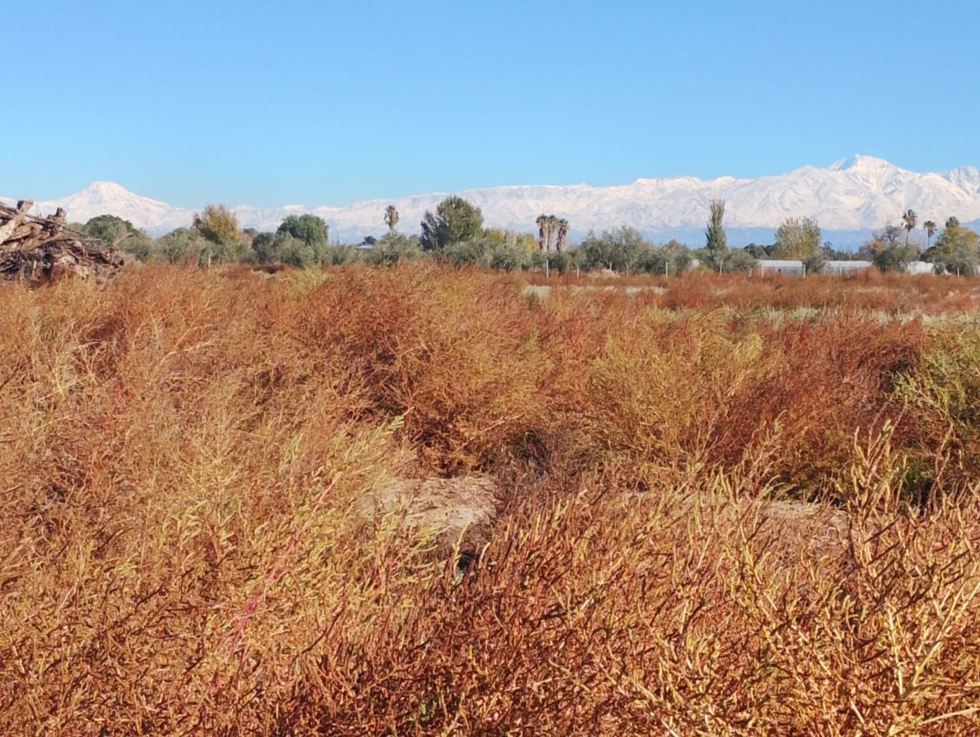 Lote en Venta en Maipu, Mendoza