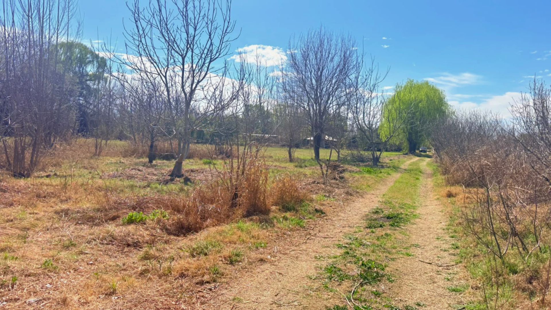 Lote en Venta en Tunuyan, Mendoza