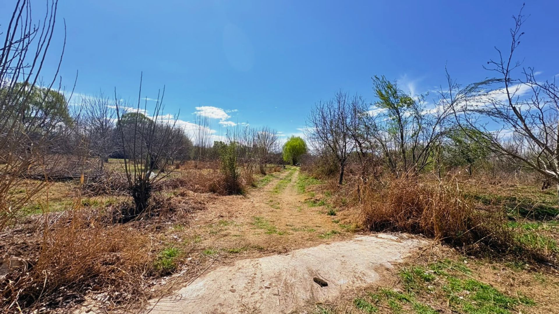 Lote en Venta en Tunuyan, Mendoza