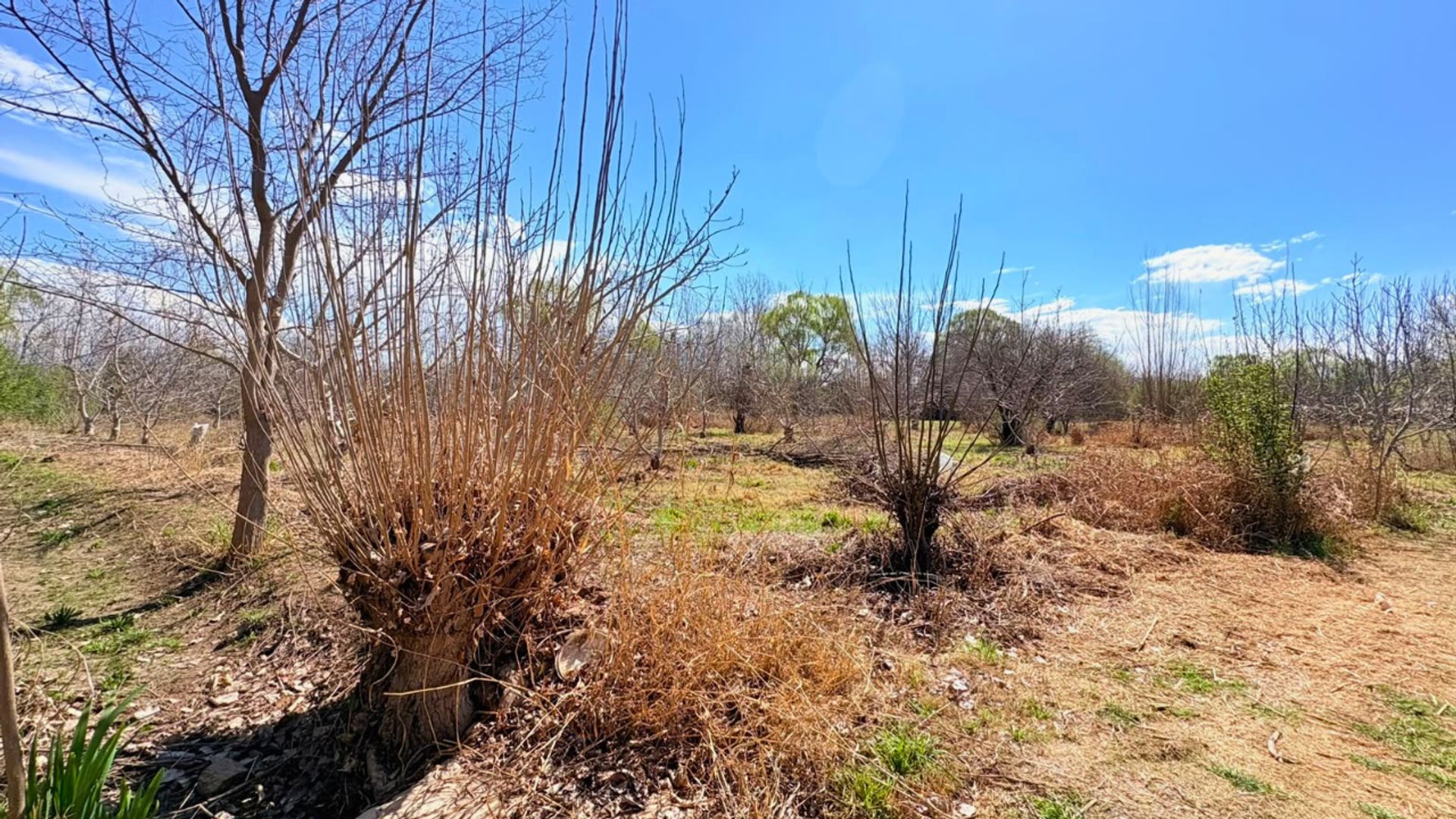 Lote en Venta en Tunuyan, Mendoza