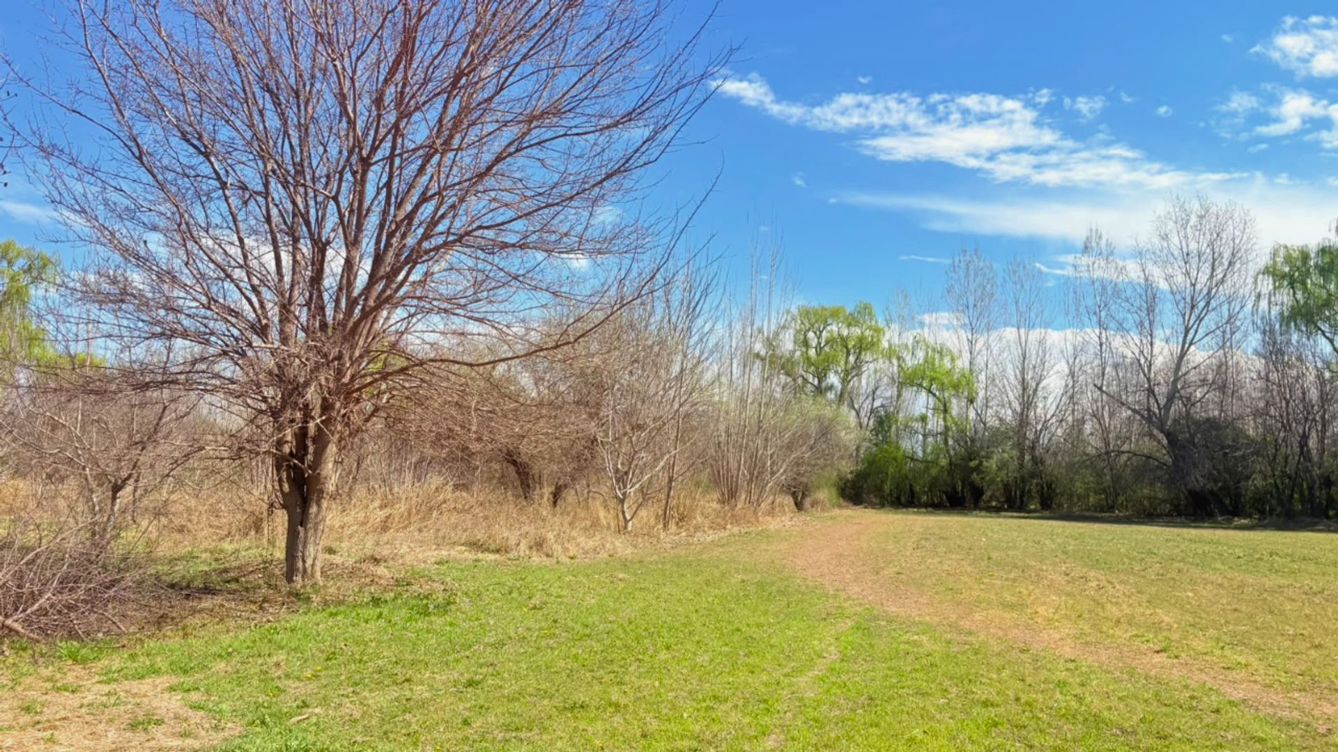 Lote en Venta en Tunuyan, Mendoza