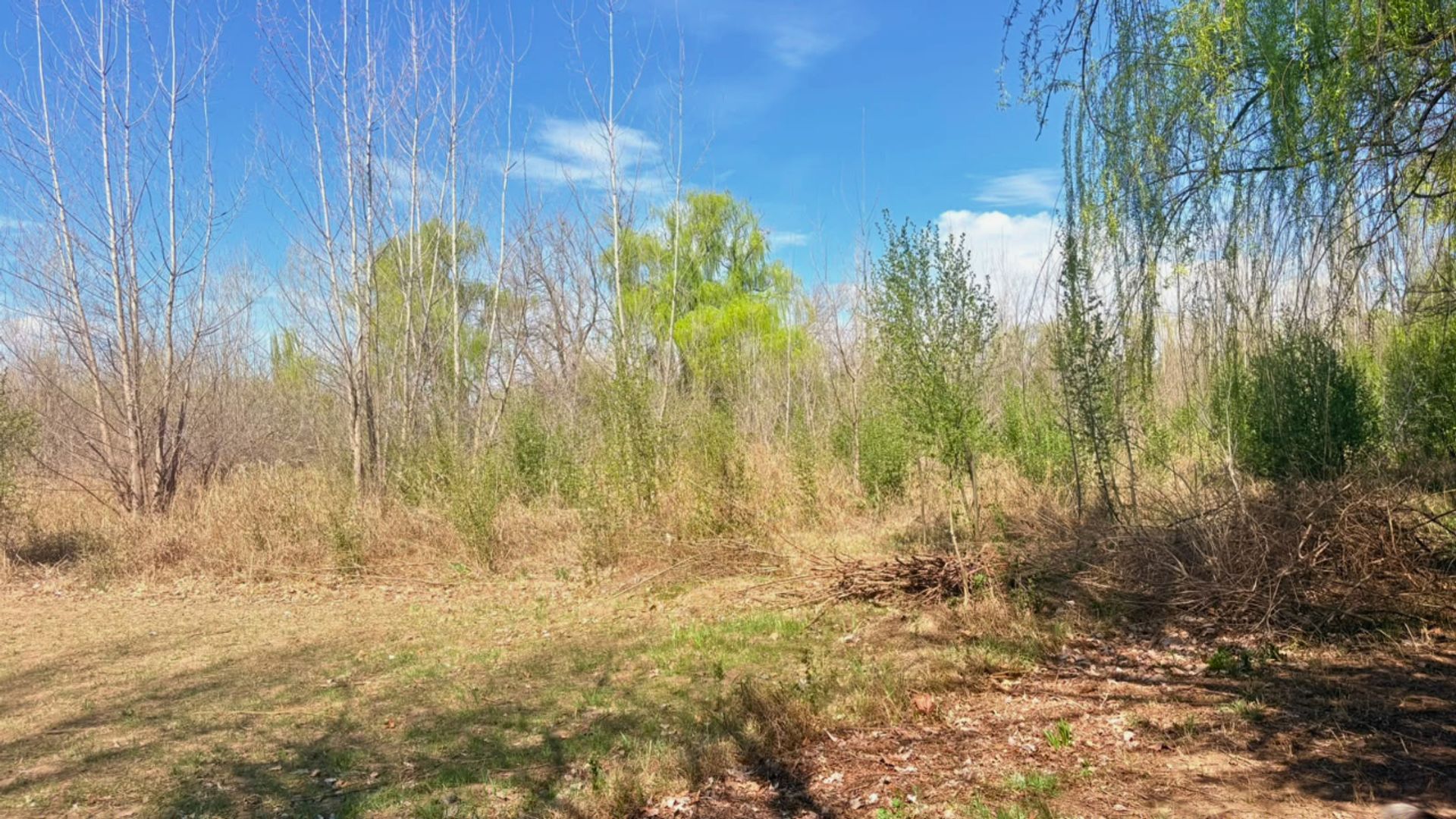 Lote en Venta en Tunuyan, Mendoza