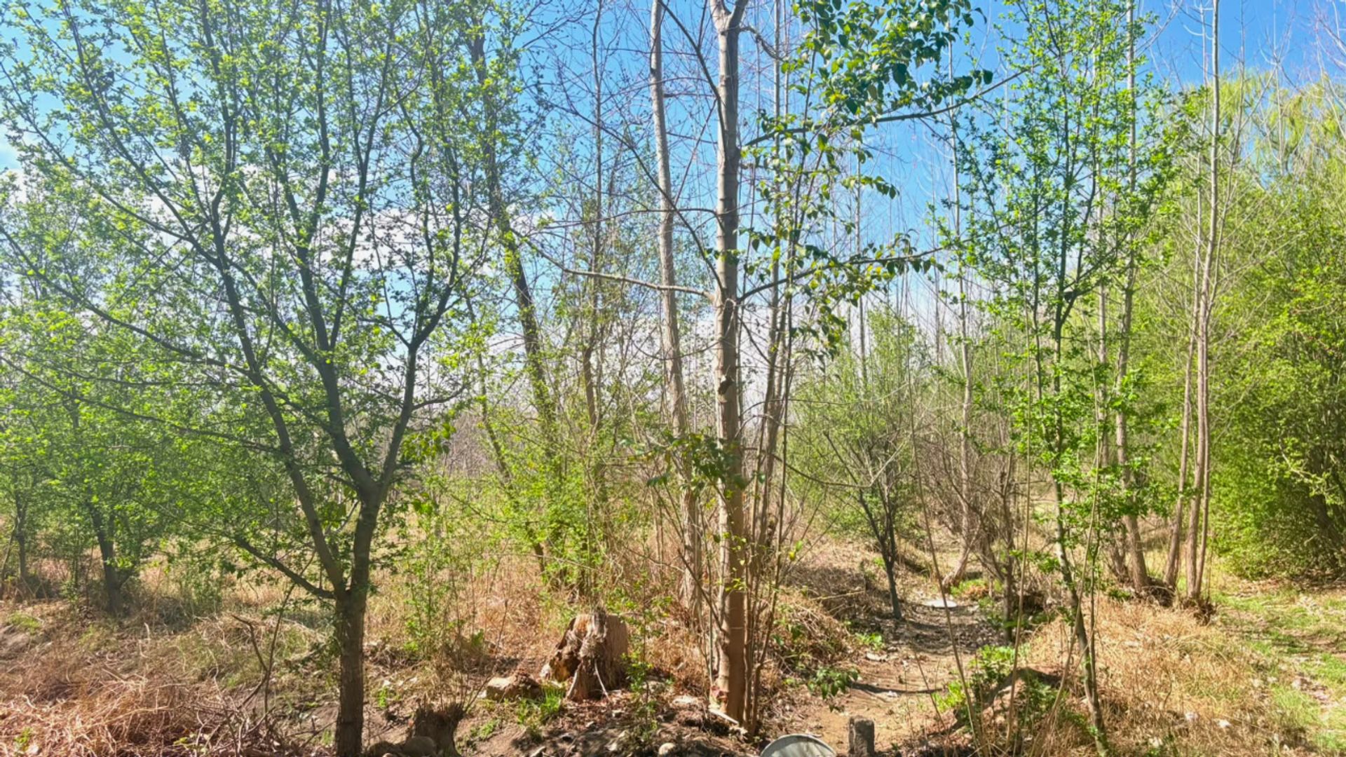 Lote en Venta en Tunuyan, Mendoza