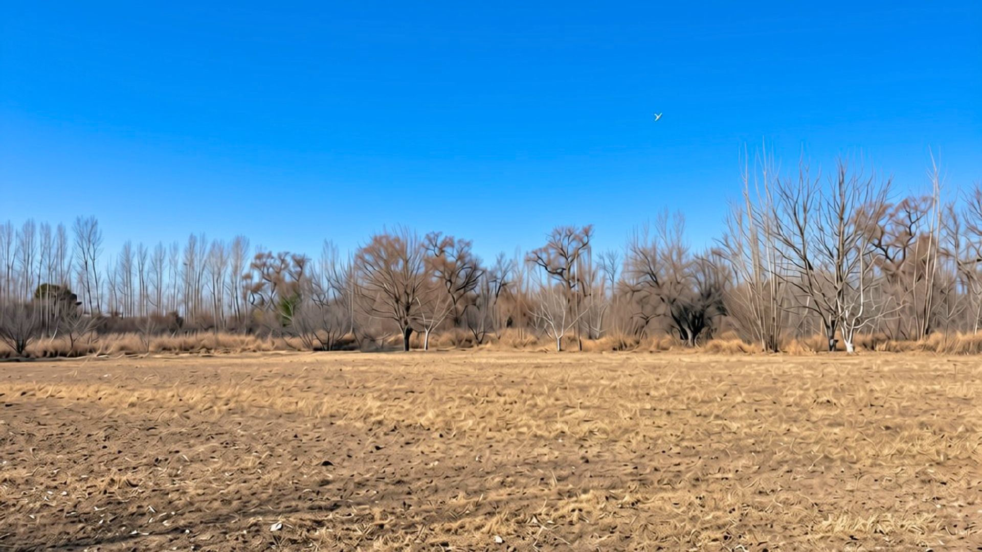 Lote en Venta en Tunuyan, Mendoza