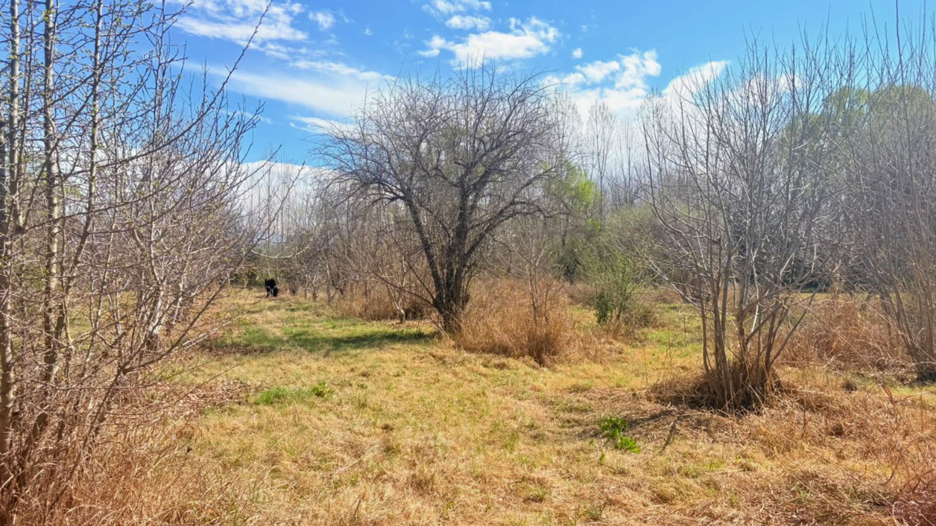 Lote en Venta en Tunuyan, Mendoza