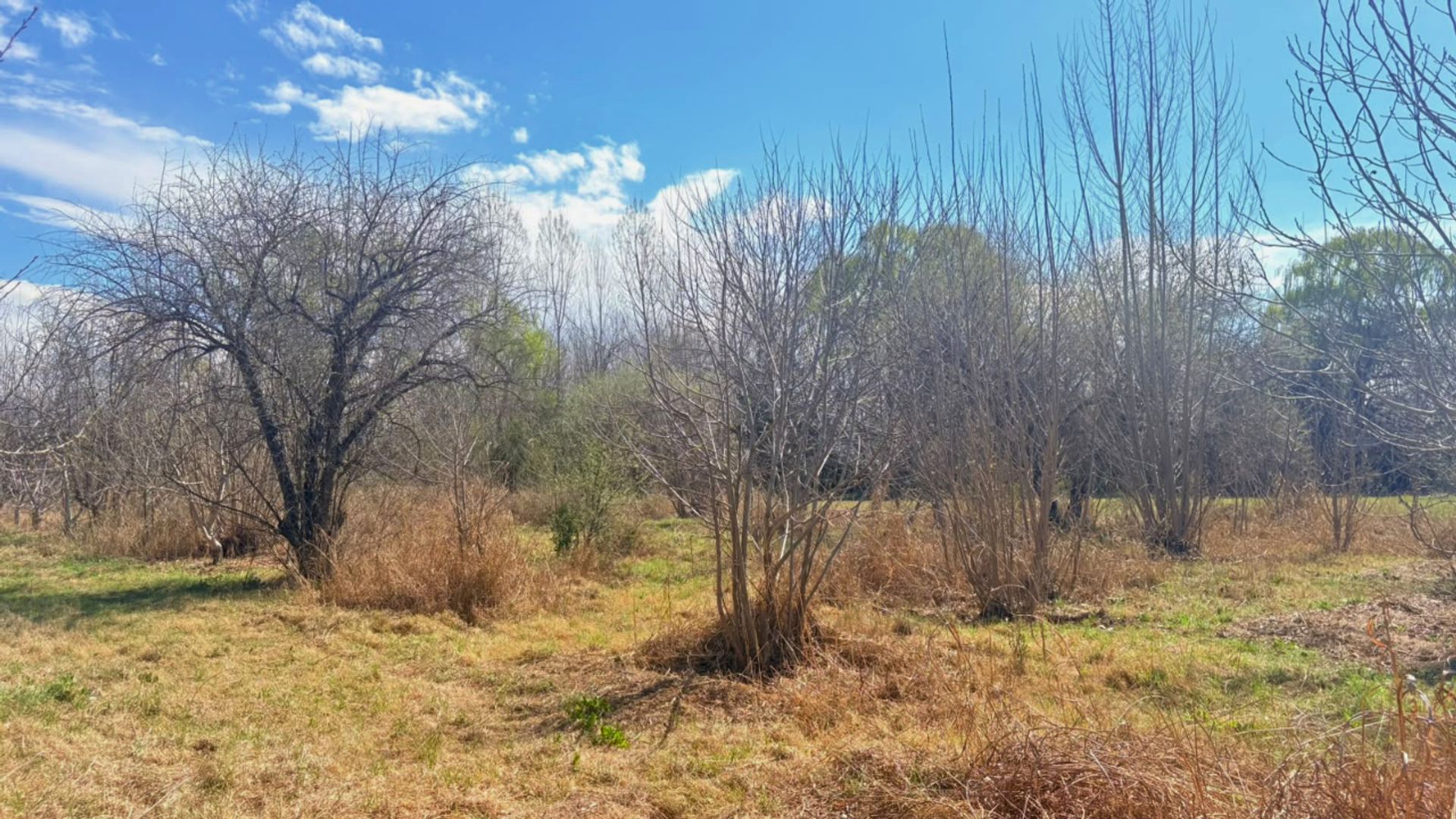 Lote en Venta en Tunuyan, Mendoza