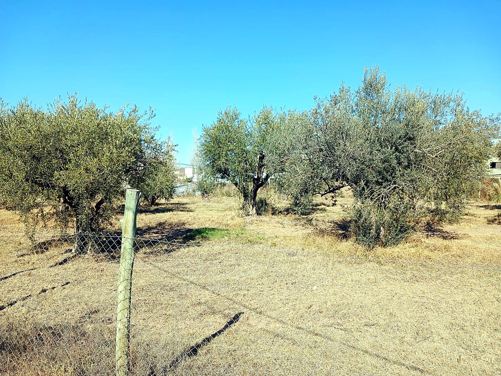 Lote en Venta en Lujan de Cuyo, Mendoza