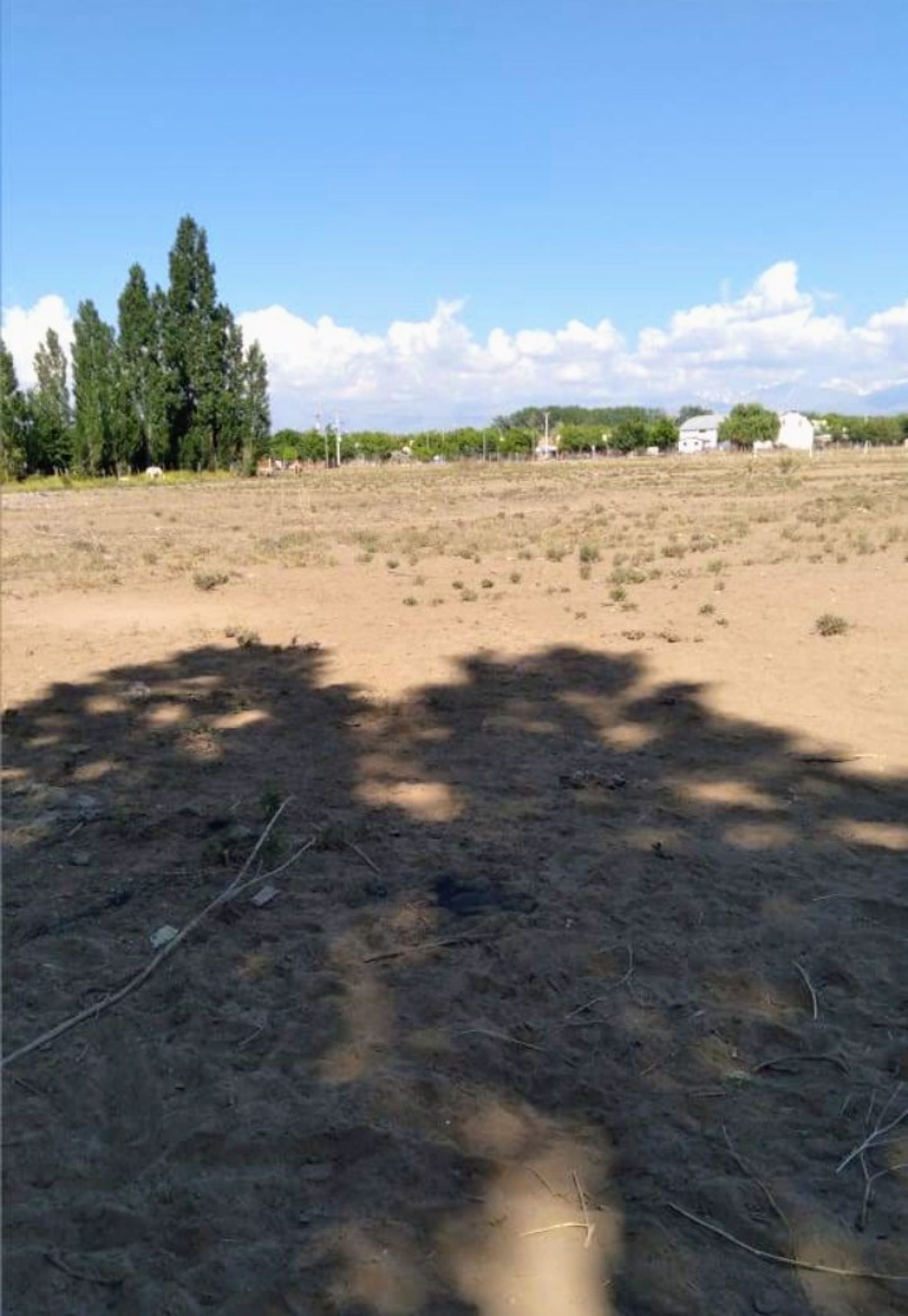 Lote en Venta en Tupungato, Mendoza