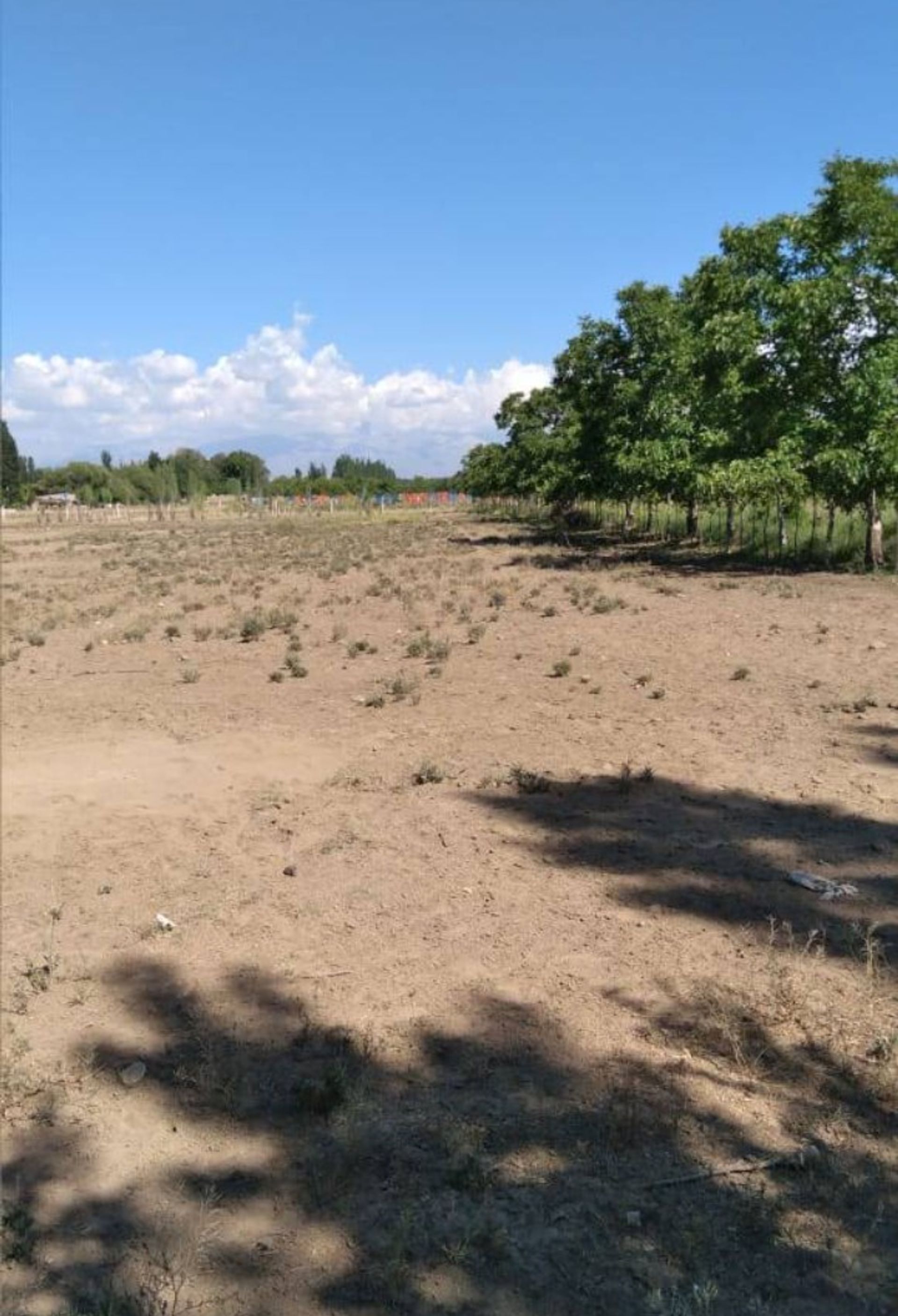 Lote en Venta en Tupungato, Mendoza