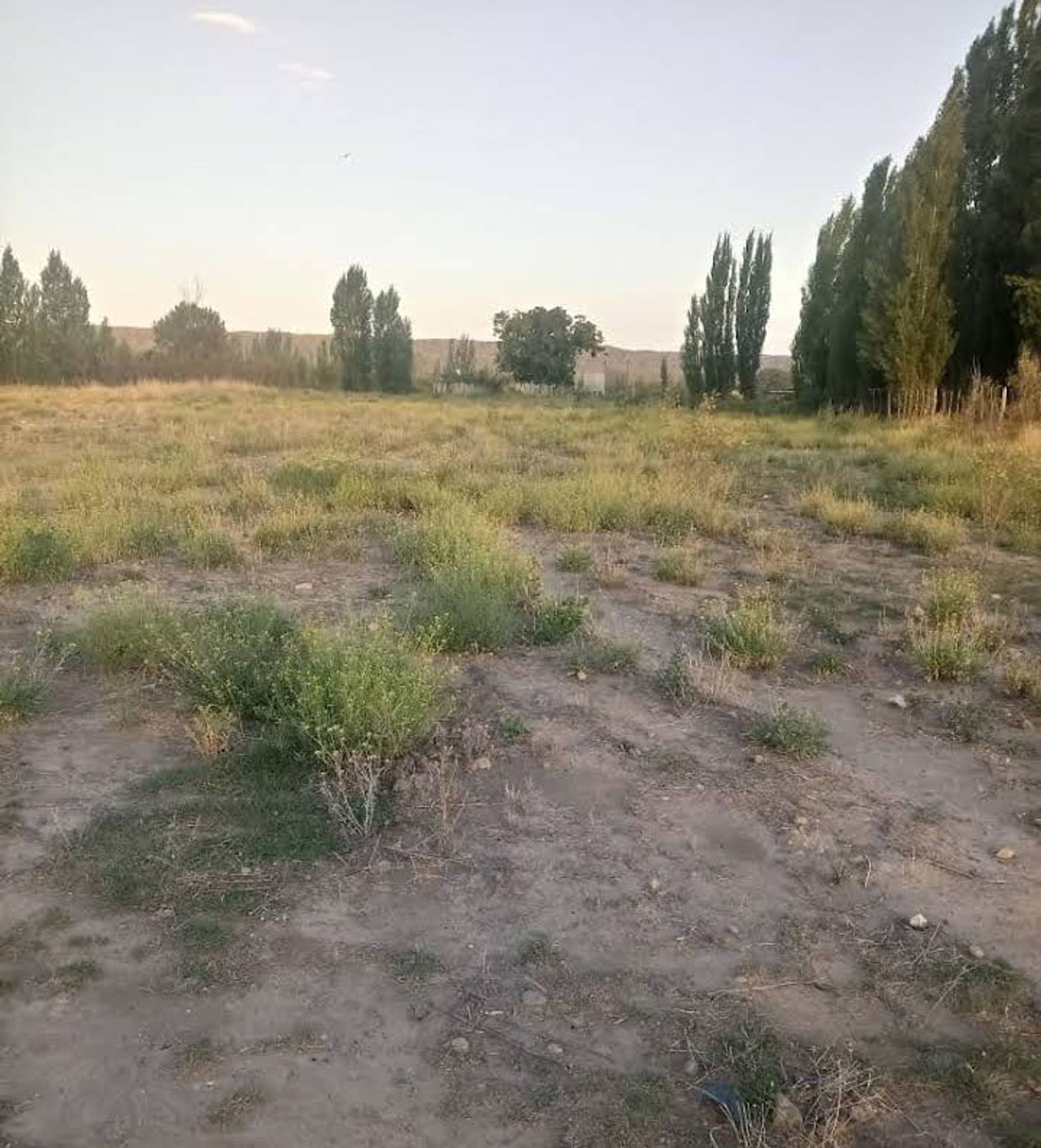 Lote en Venta en Tupungato, Mendoza