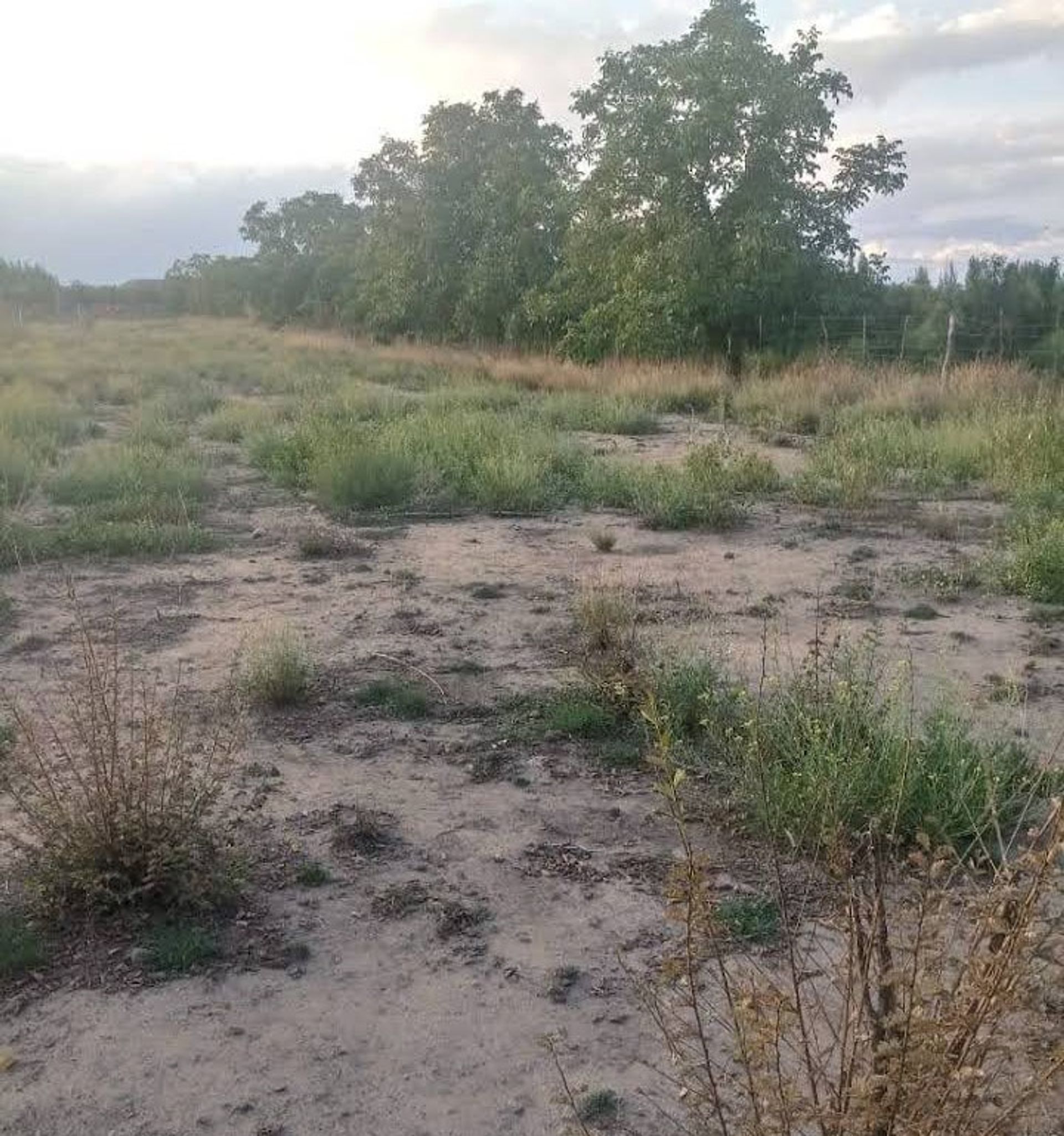 Lote en Venta en Tupungato, Mendoza