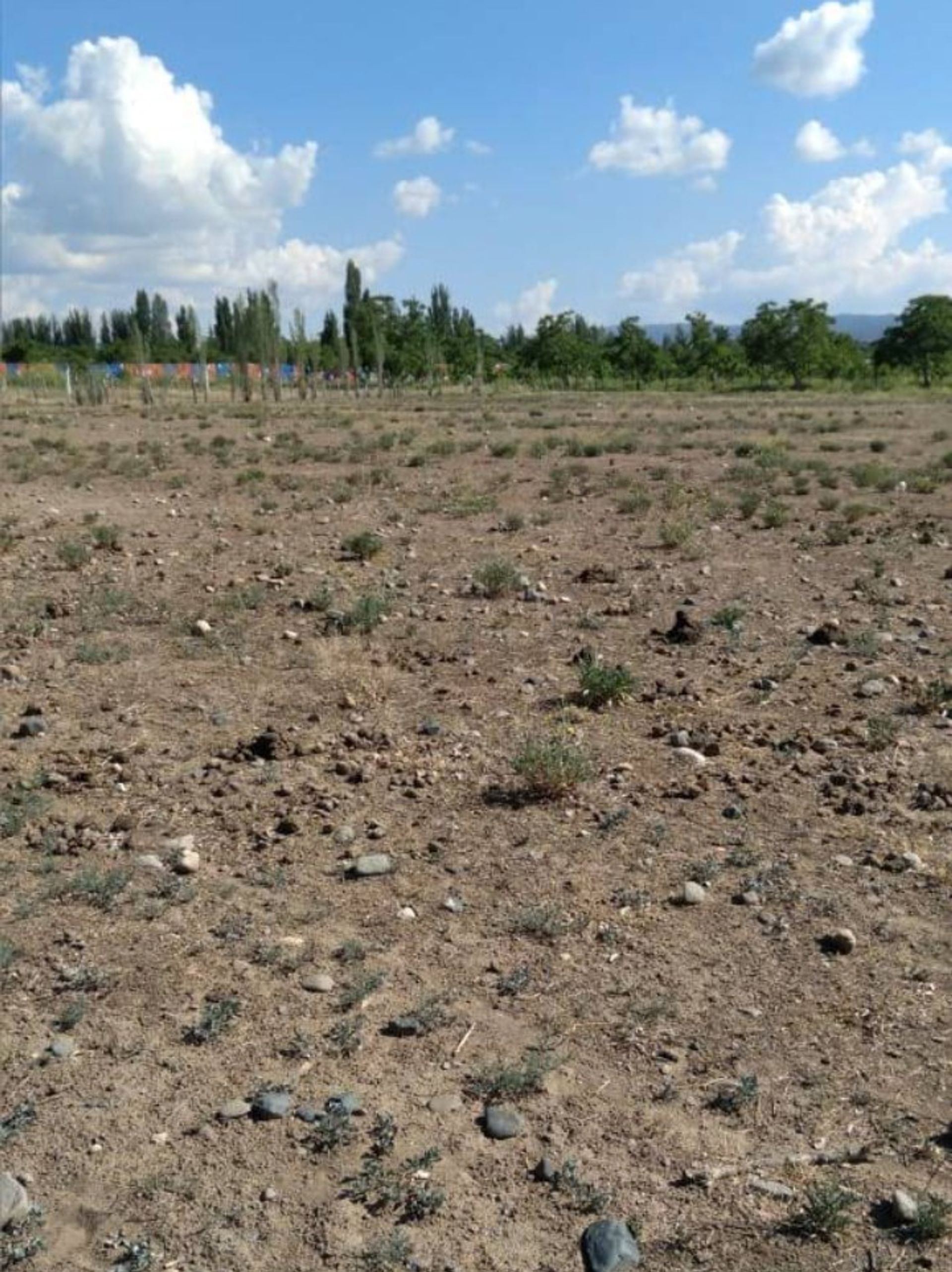 Lote en Venta en Tupungato, Mendoza