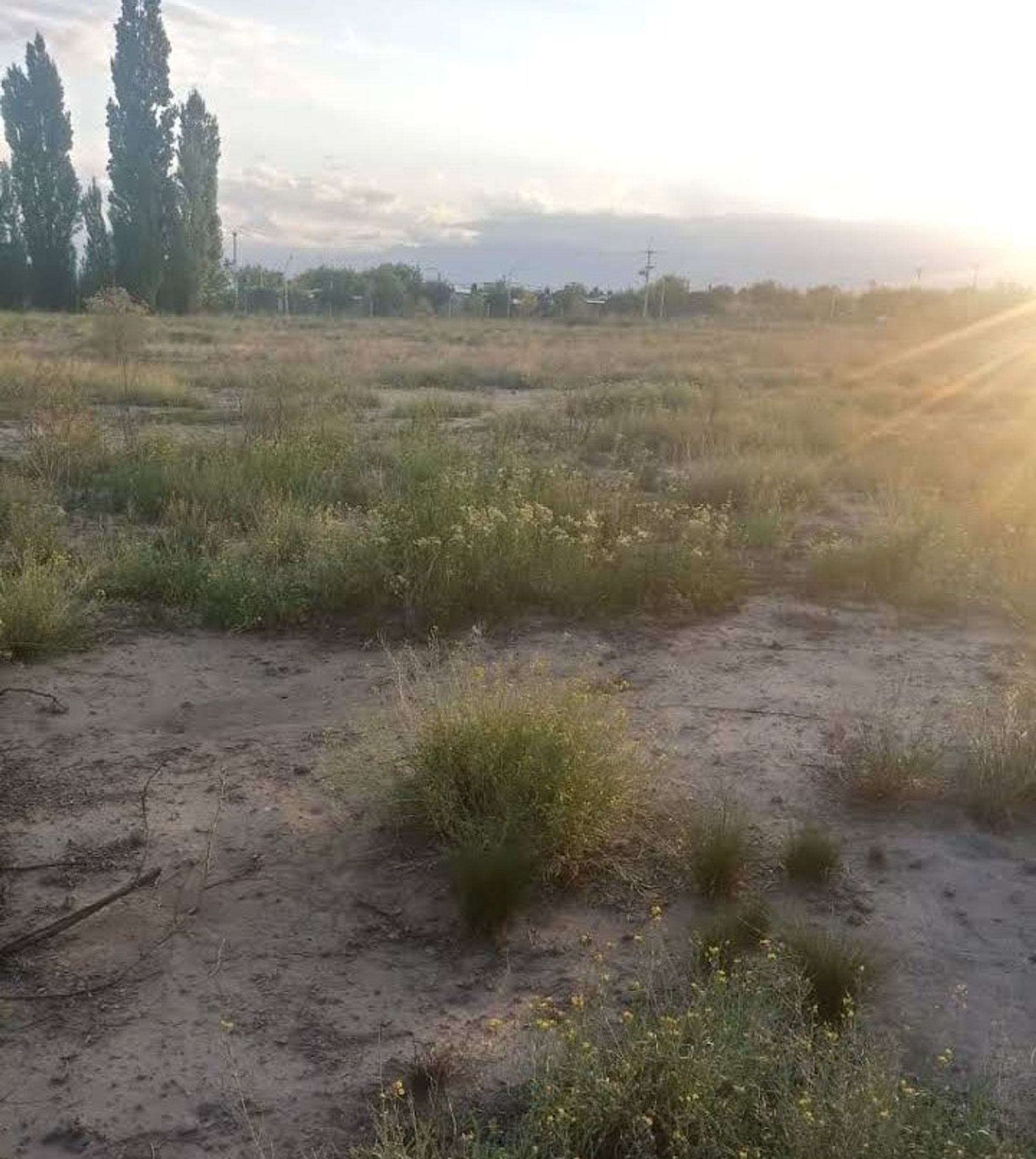Lote en Venta en Tupungato, Mendoza