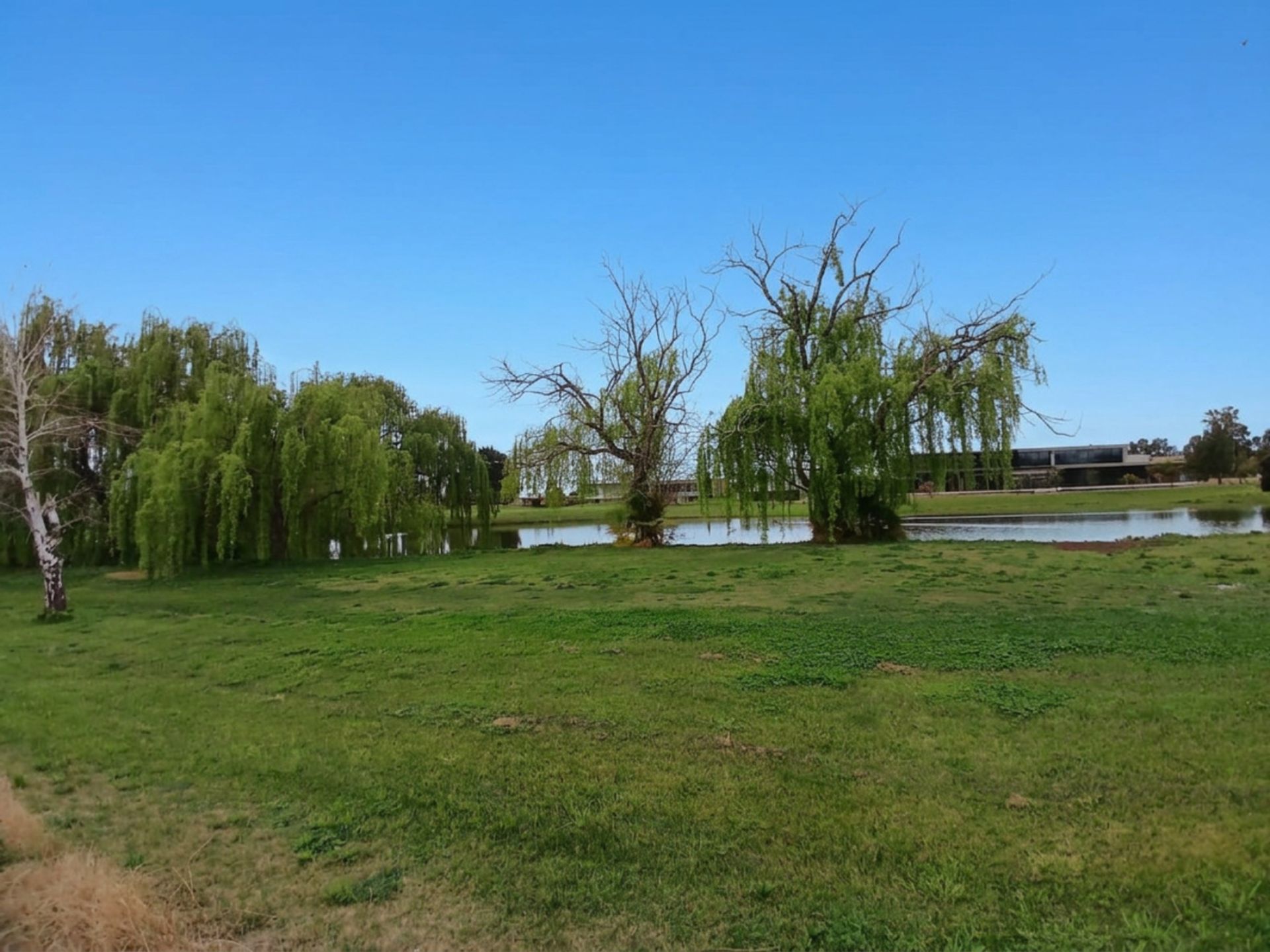 Lote en Venta en Maipu, Mendoza