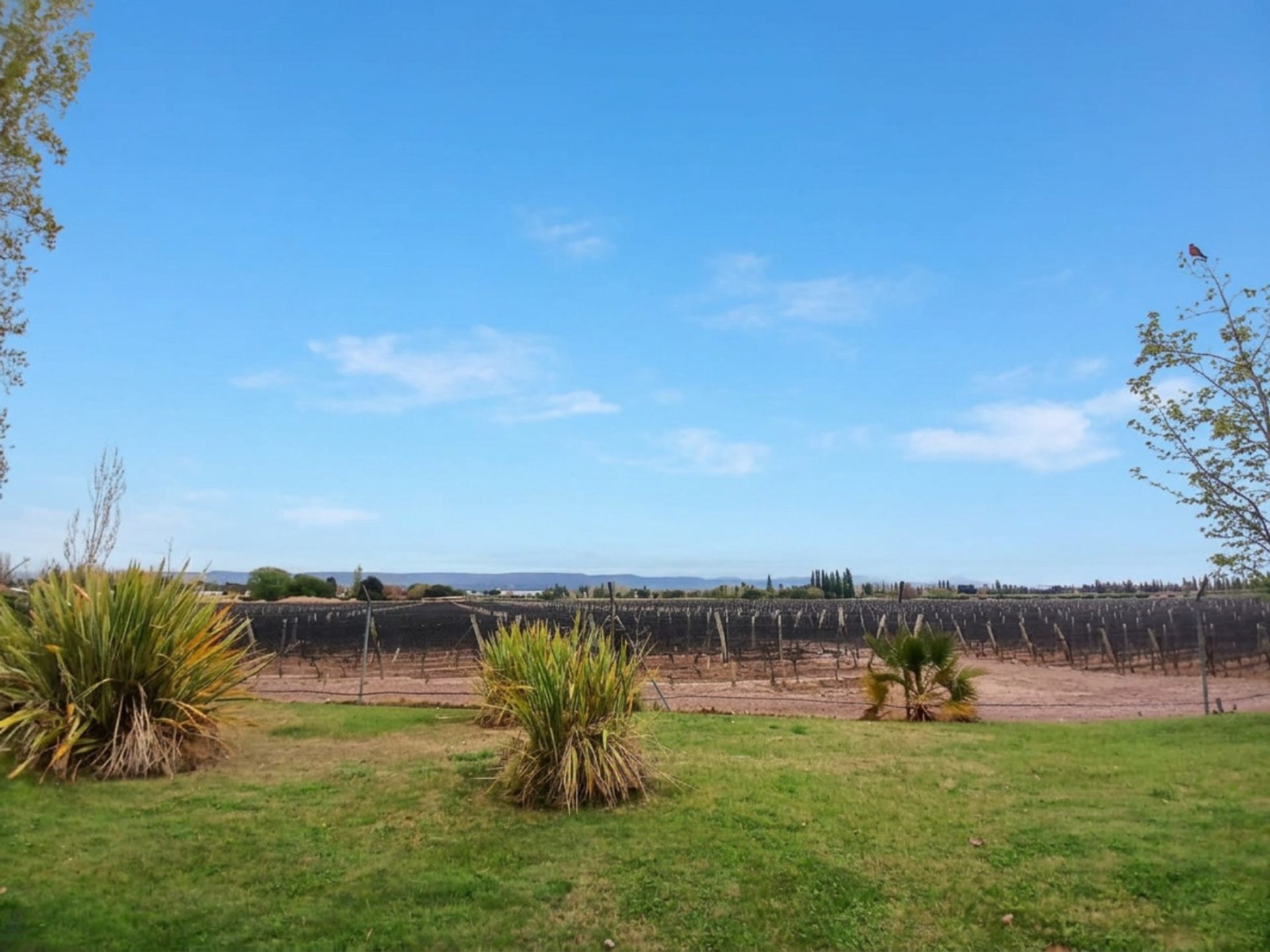 Lote en Venta en Maipu, Mendoza