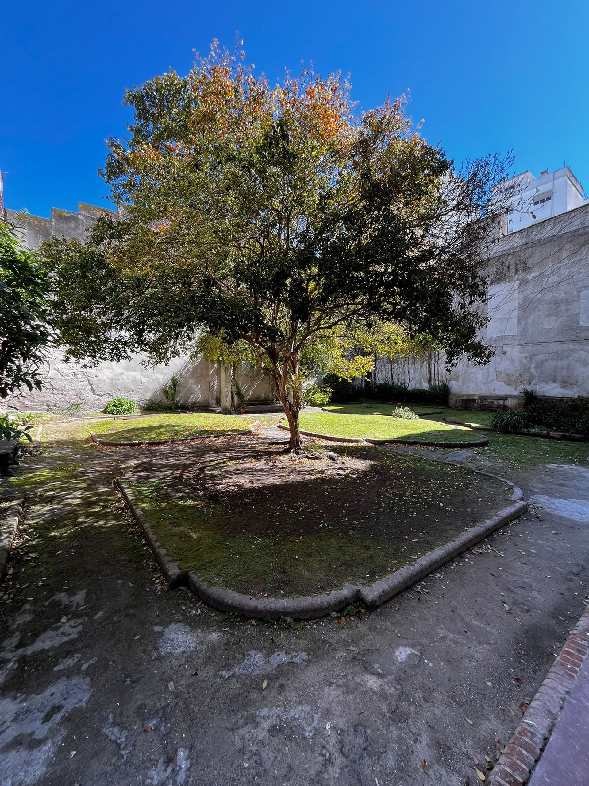 Venta apartamento 1 dormitorio. Centro. - 10