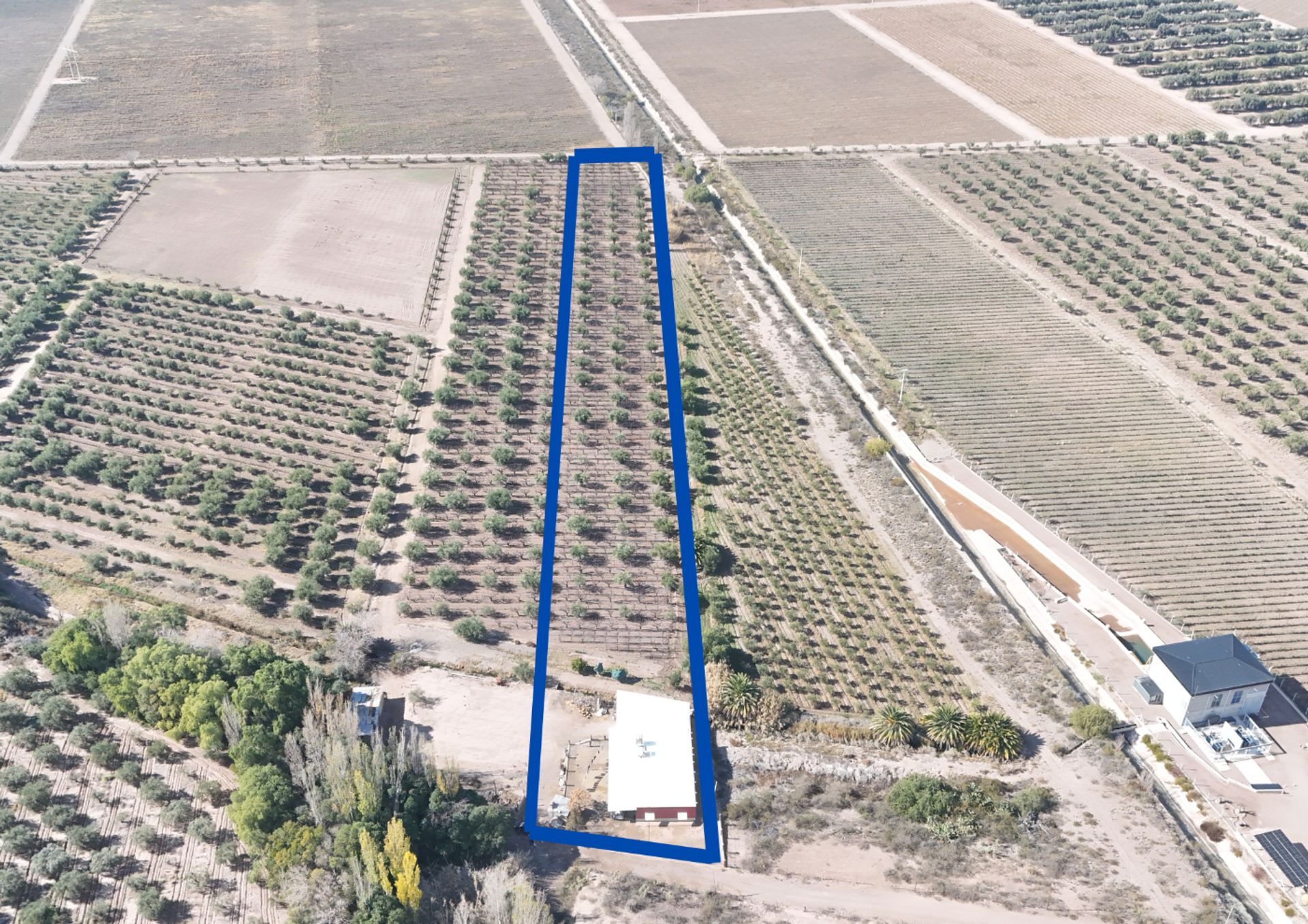 Campo en Venta en Maipu, Mendoza