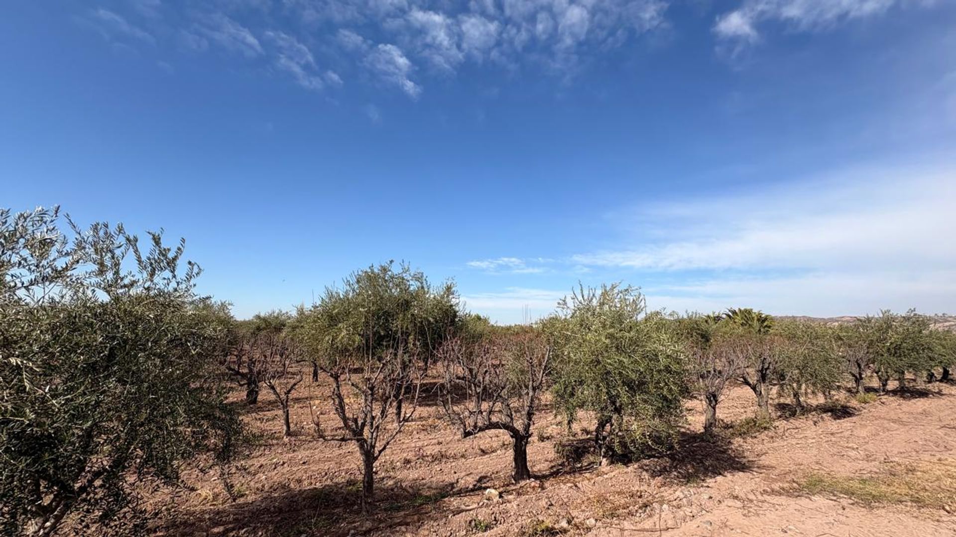 Campo en Venta en Maipu, Mendoza