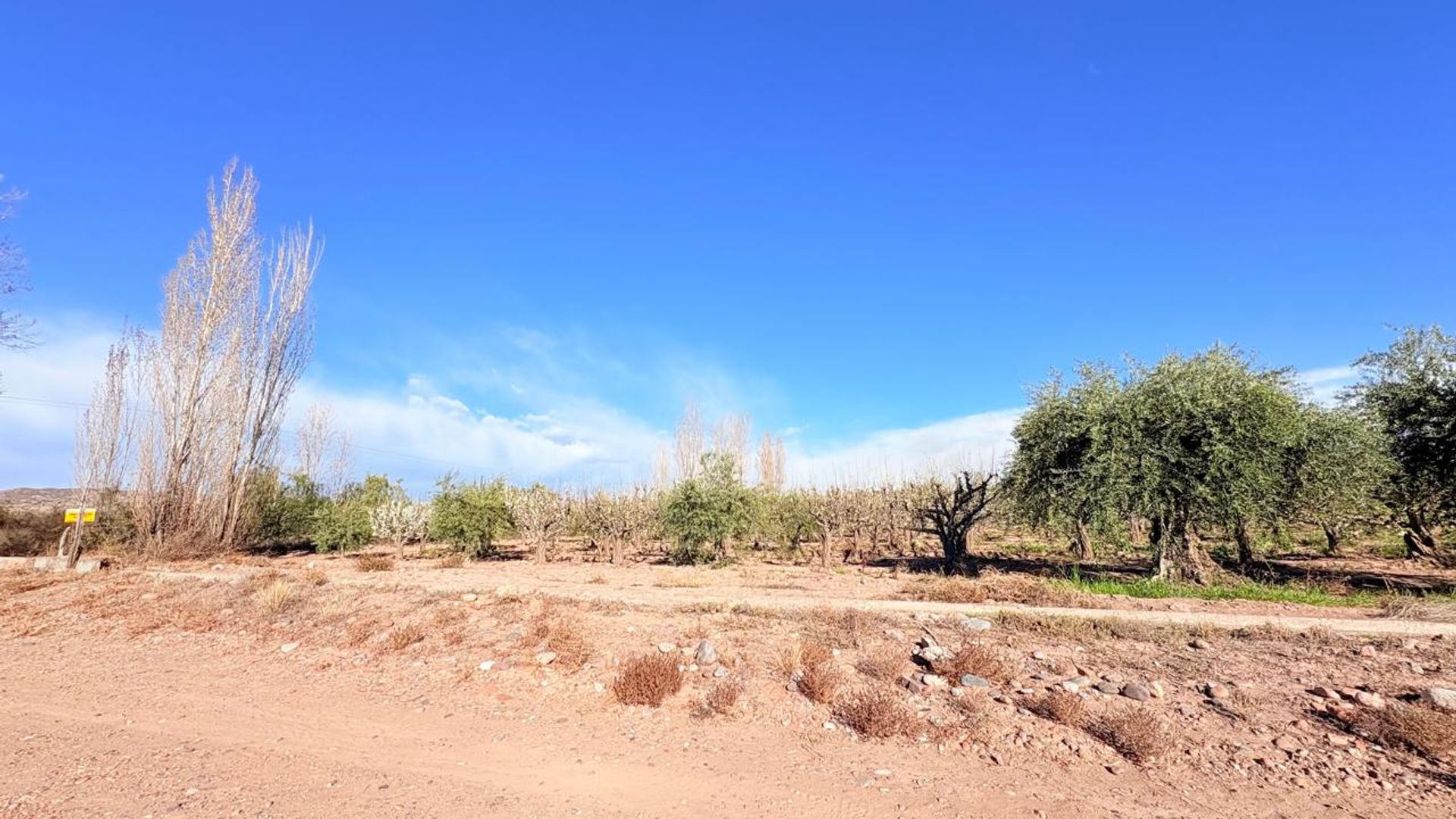 Campo en Venta en Maipu, Mendoza - USD 137.000 | Inmoup - 34