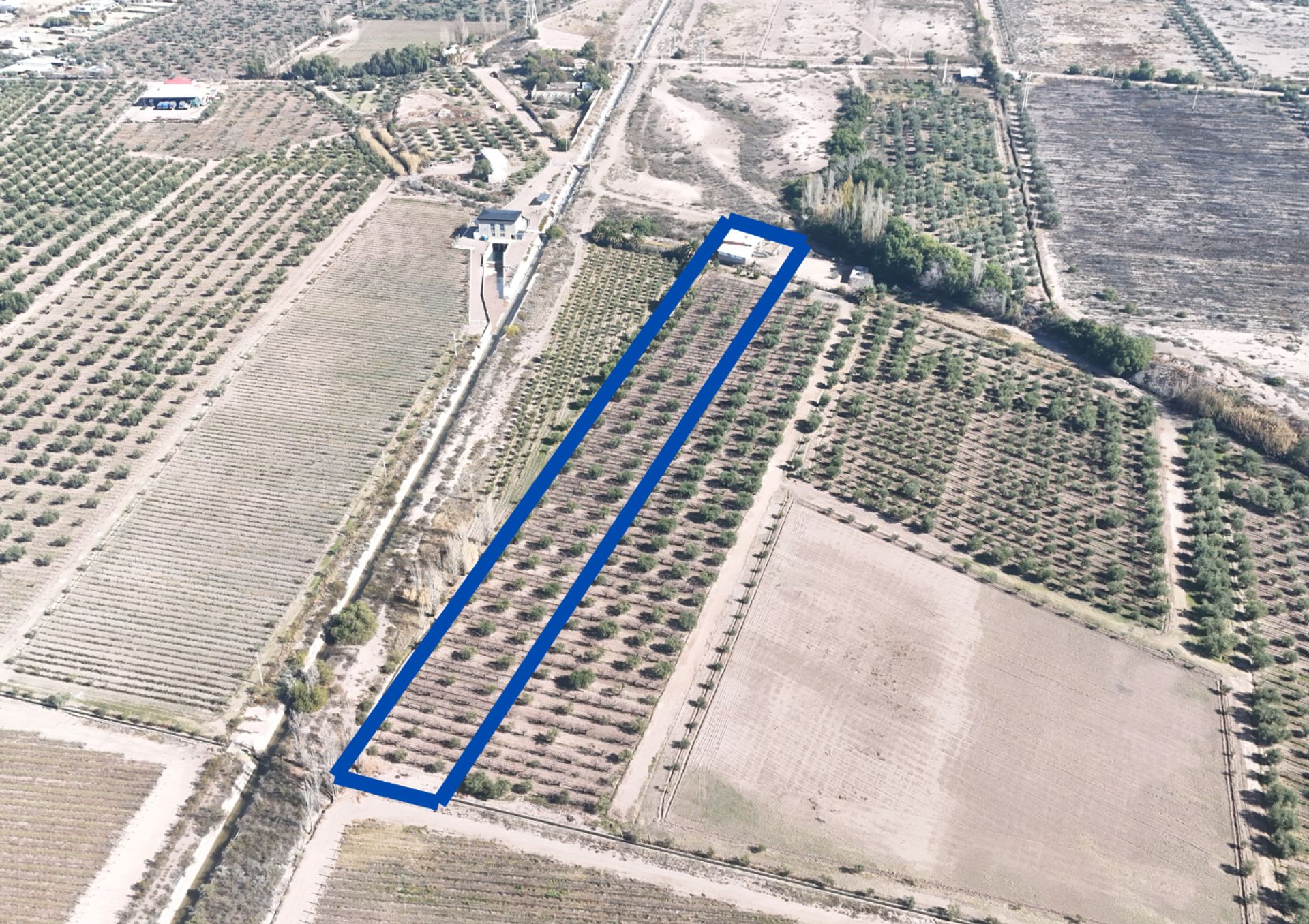 Campo en Venta en Maipu, Mendoza
