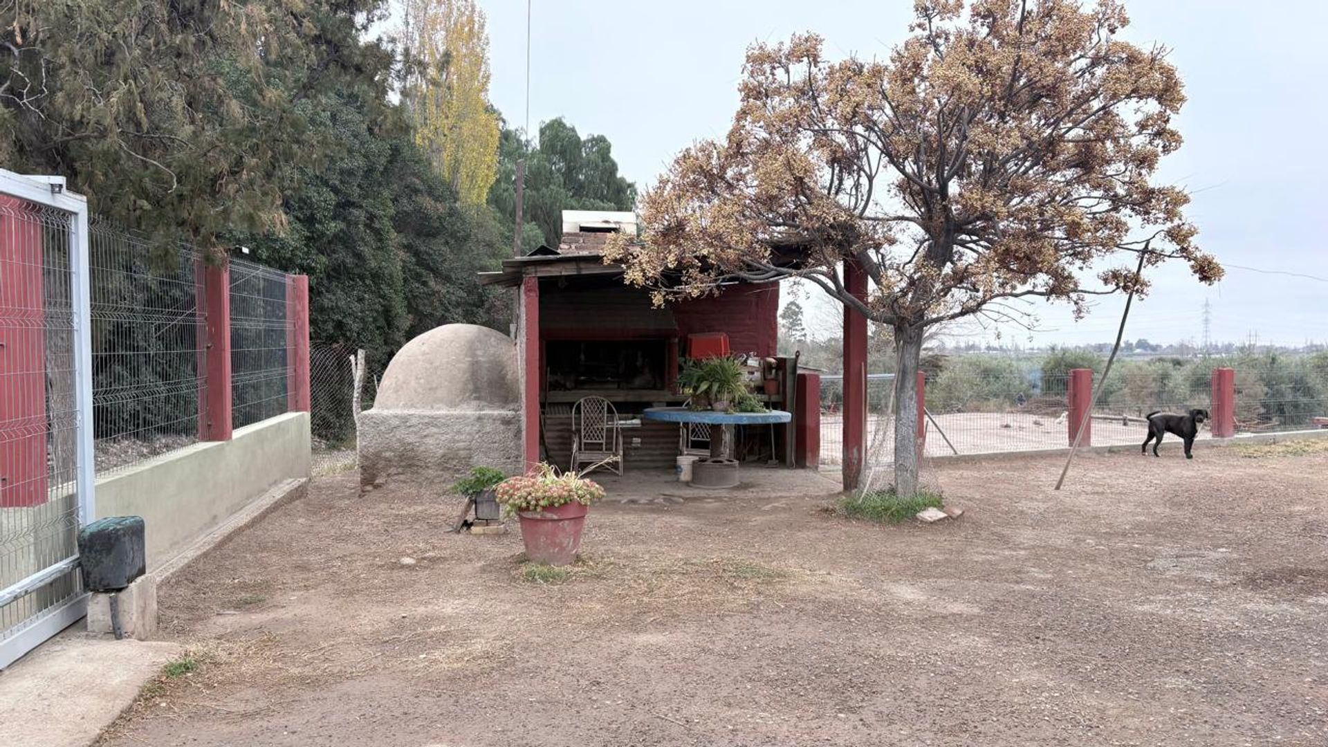Campo en Venta en Maipu, Mendoza